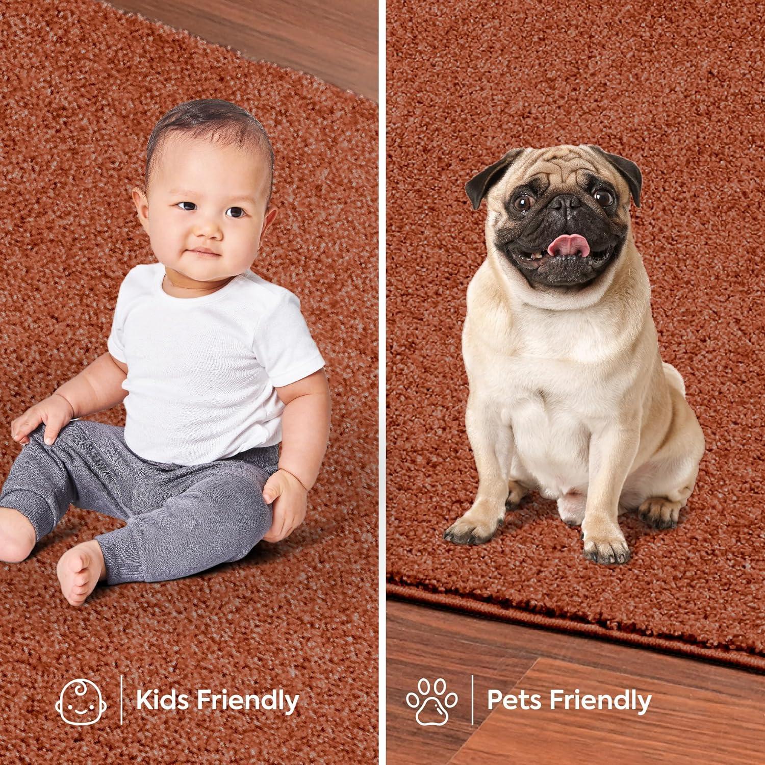 Furnish My Place Modern Plush Pet and Kids Friendly Solid Color Rust Area Rugs, Stain & Fade Resistance, Made in USA, Perfect for Living Room, Dining Room, Bedroom, Playroom and Kidsroom, Event, Wedding Rug