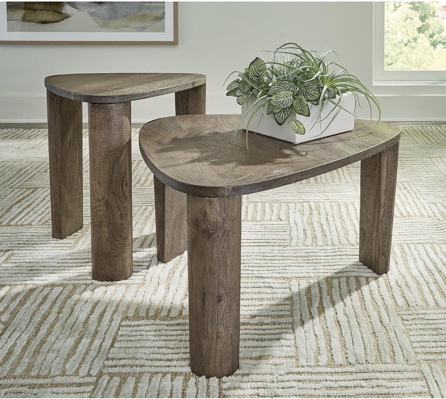 Signature Design by Ashley Reidport Accent Coffee Table (Set of 2), Grayish Brown