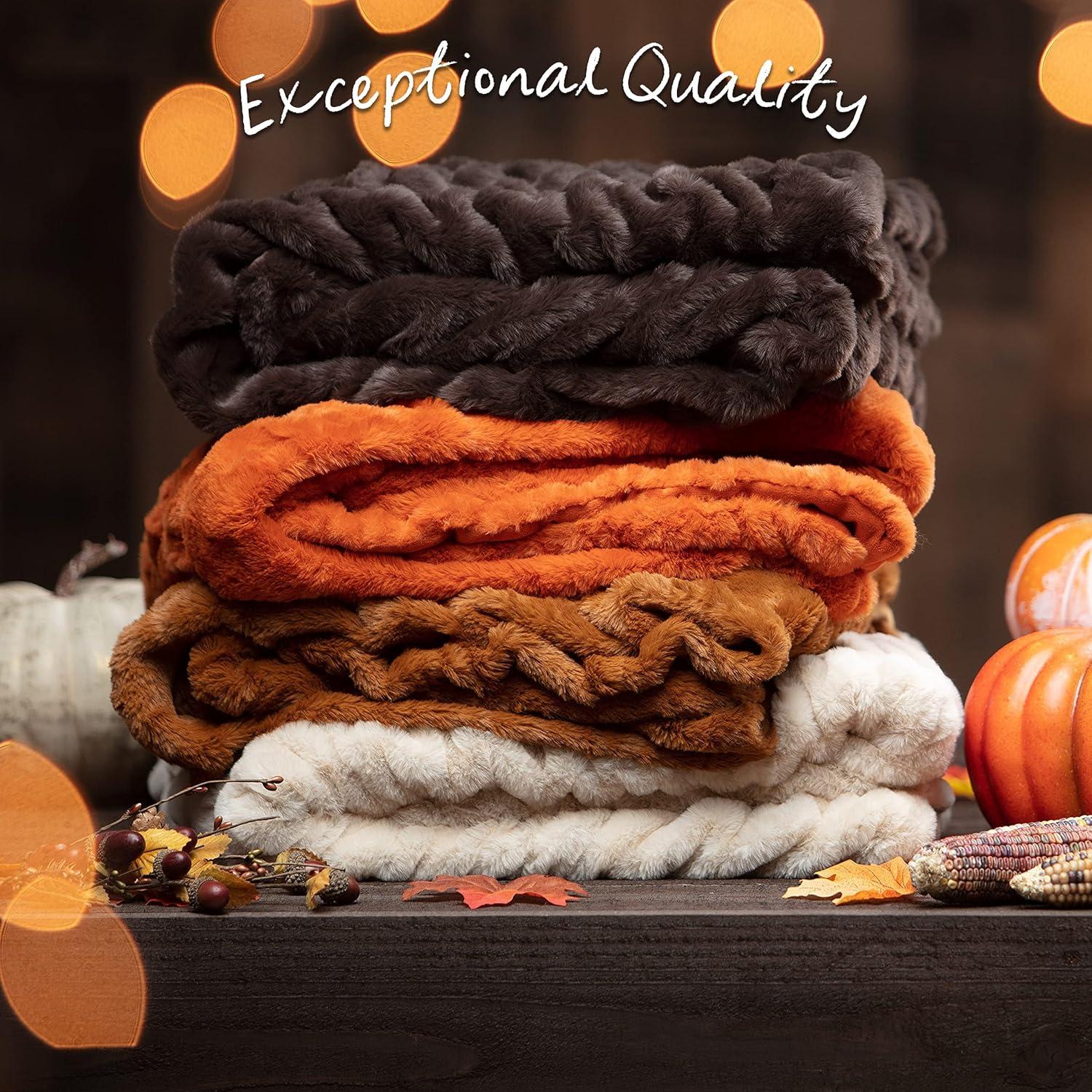 Chanasya Faux Fur Throw & Reviews | Wayfair