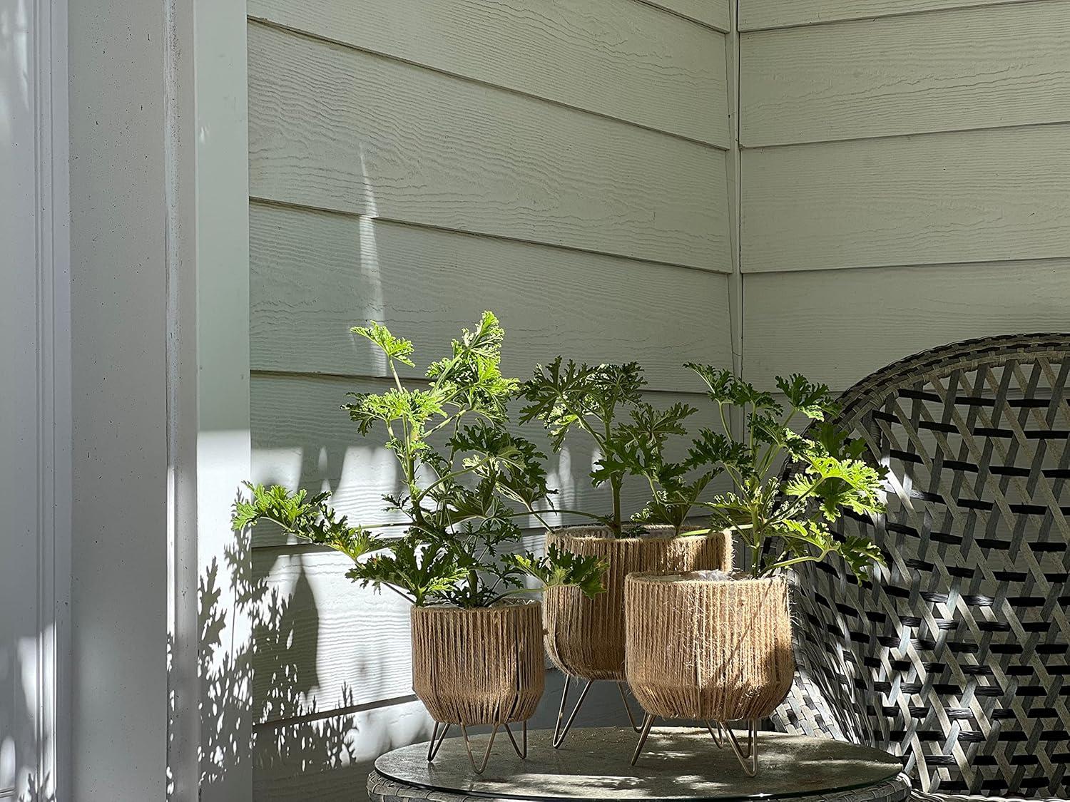 Boho Chic 3 Piece Rope Wrapped Planter Set, Natural Woven Jute, Beige Iron Framework, Plastic Lined, 6, 7 and 8 Inches, Hand Made
