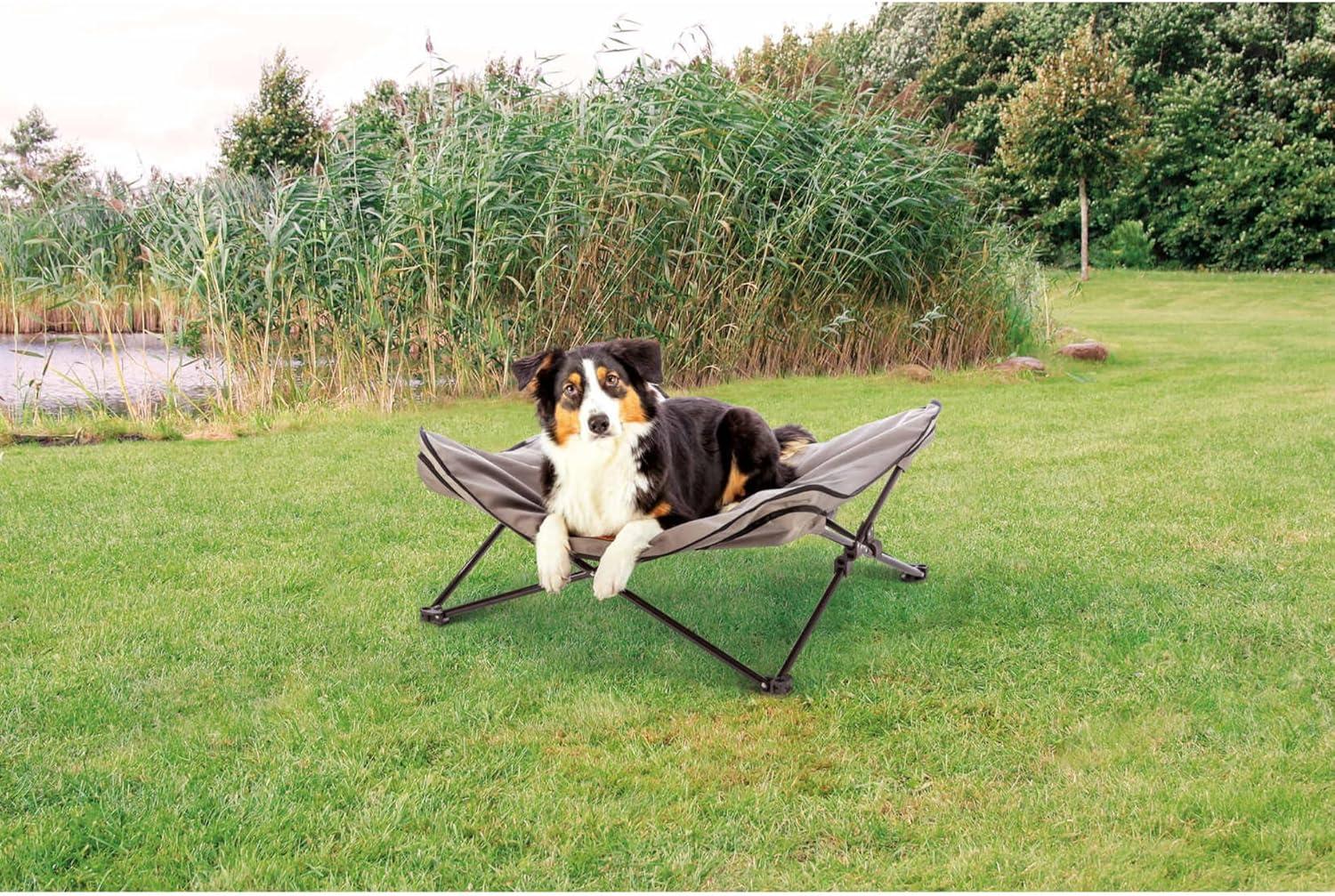 TRIXIE Camping Cot for Dogs, Elevated Dog Bed, Folding Padded Pet Bed, Raised Travel Lounger for Dogs