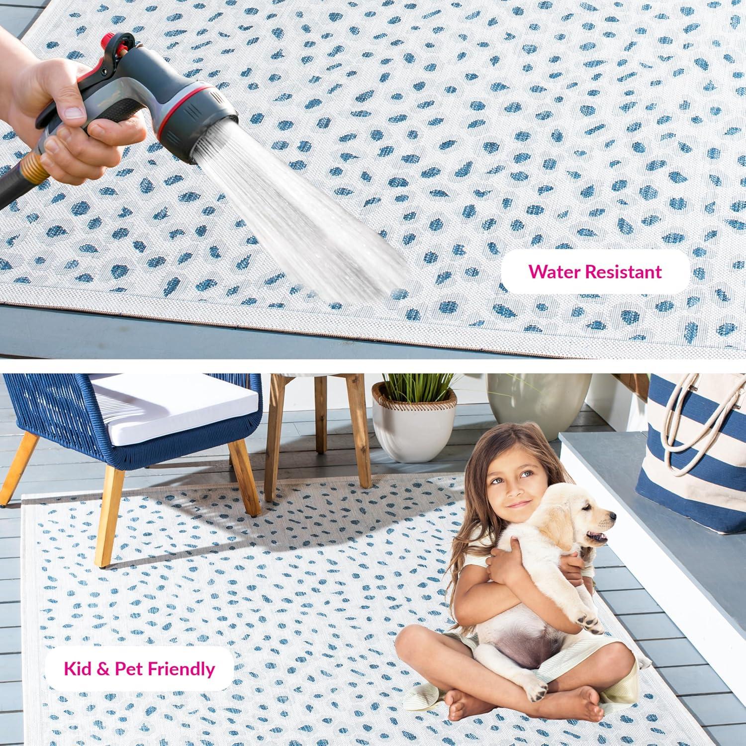 Aidah Performance Rug