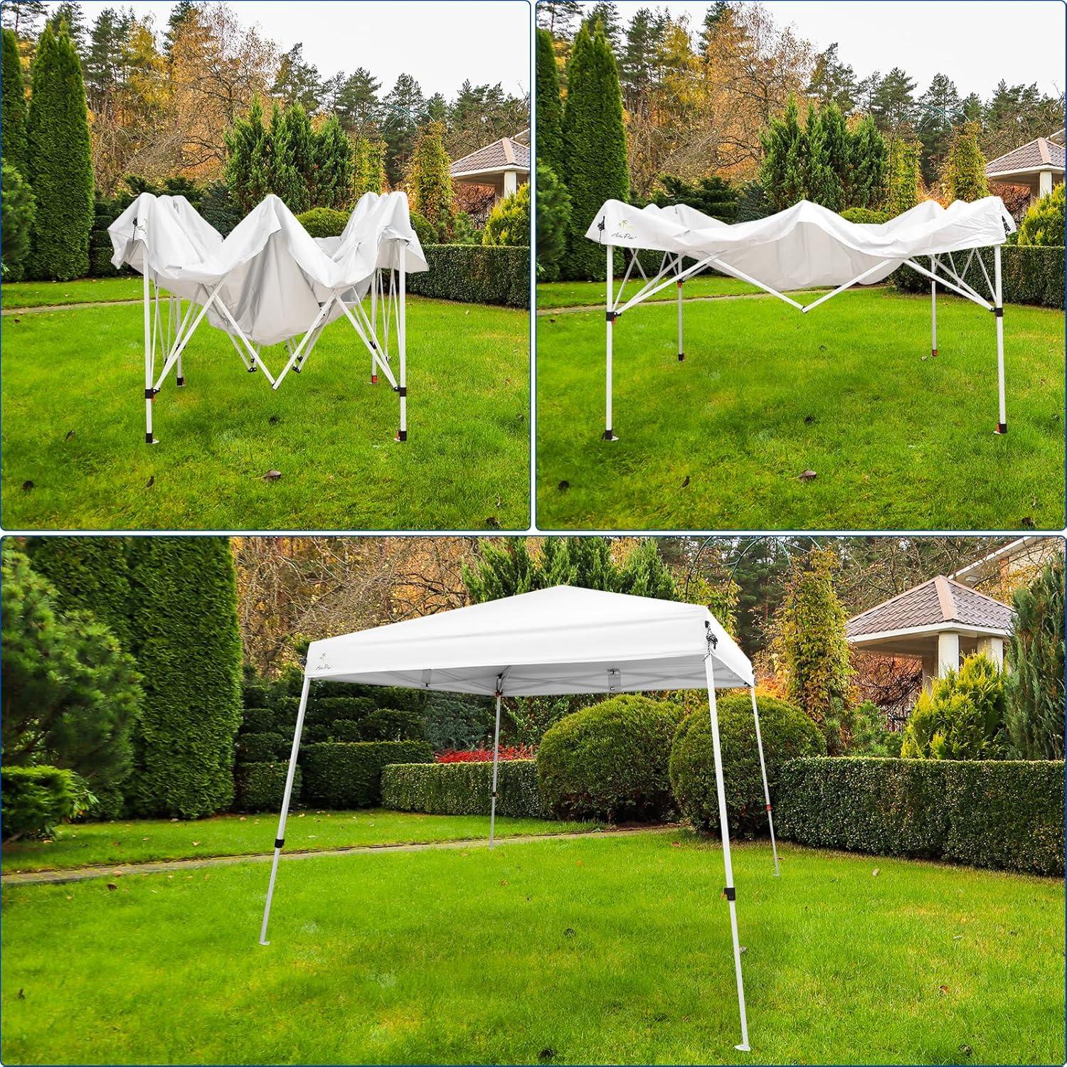 Lyon 10 Ft. W x 10 Ft. D Canopy