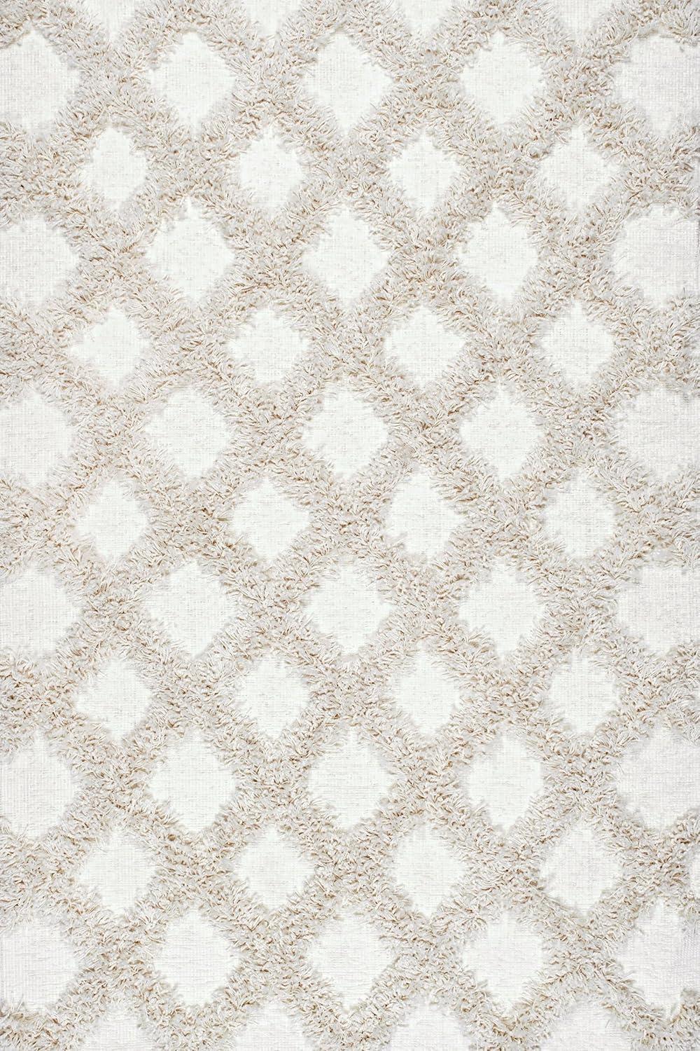 Nuloom Francene Diamond Trellis Shag Area Rug