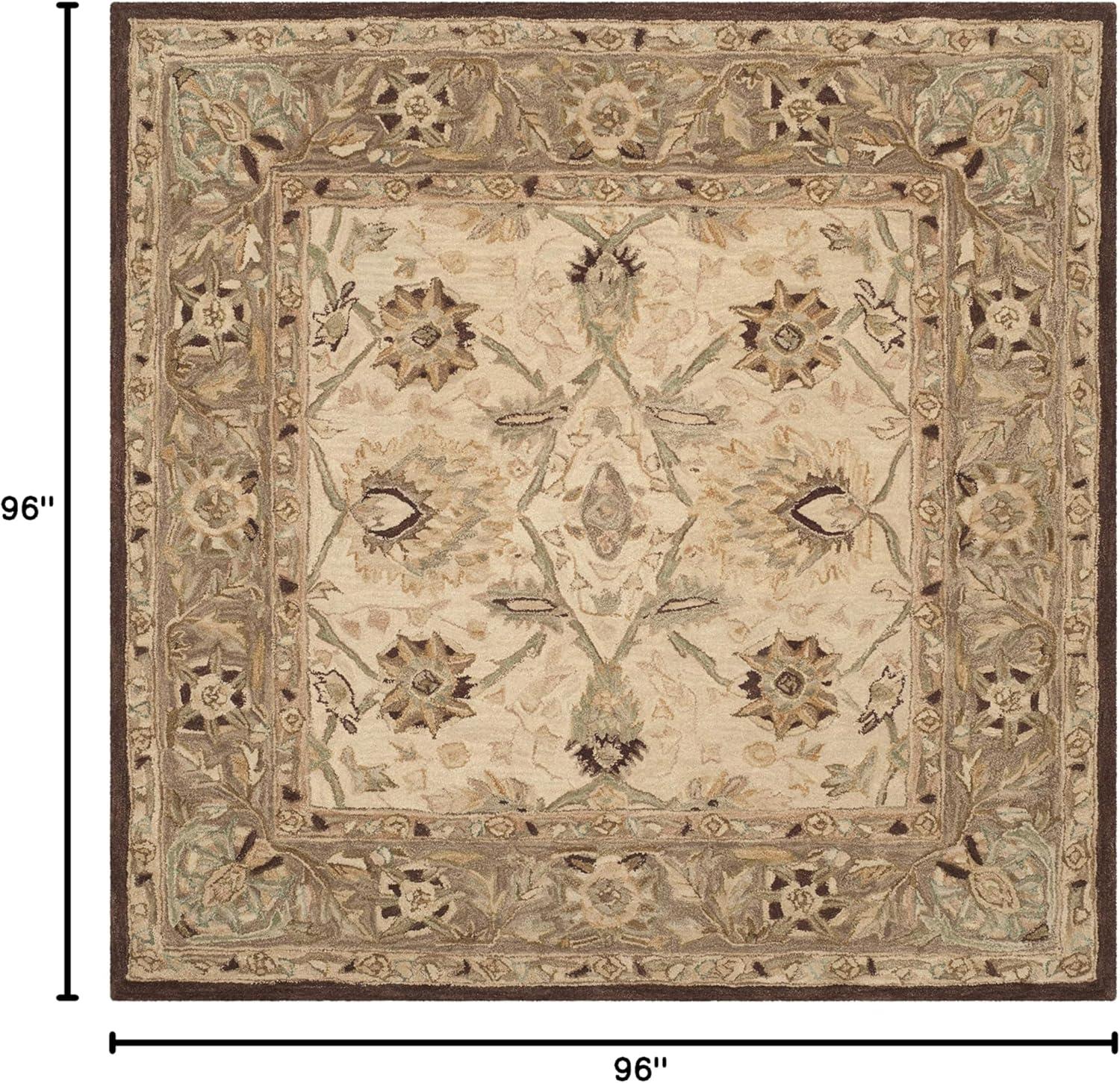 Anatolia AN512 Hand Tufted Indoor Area Rug - Ivory/Brown - 8'x8' - Safavieh