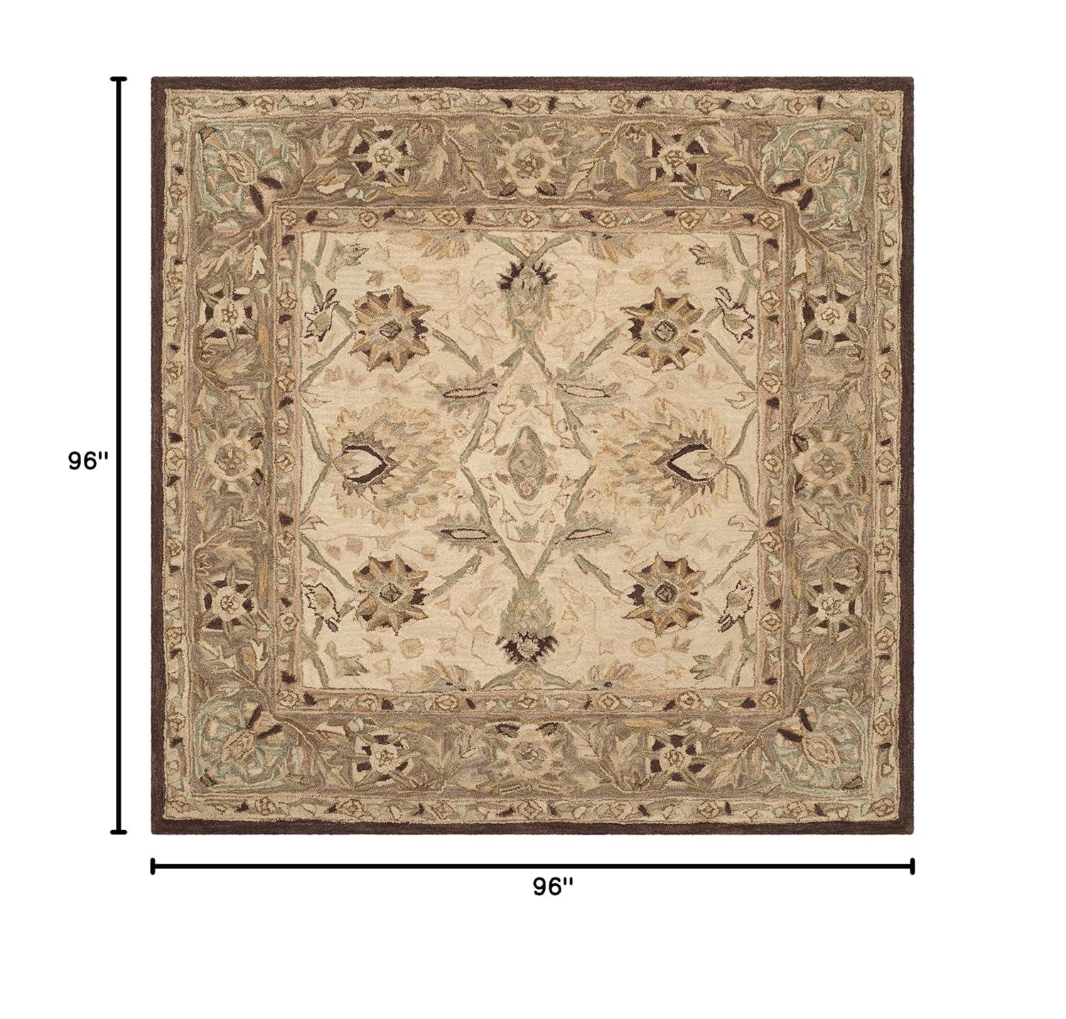 Anatolia AN512 Hand Tufted Indoor Area Rug - Ivory/Brown - 8'x8' - Safavieh