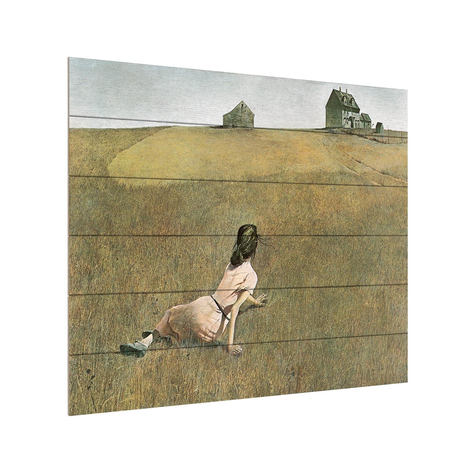 Trademark Fine Art 18"x22" Andrew Wyeth Christina's World Wood Slat Art: UV Ink, Ready to Hang