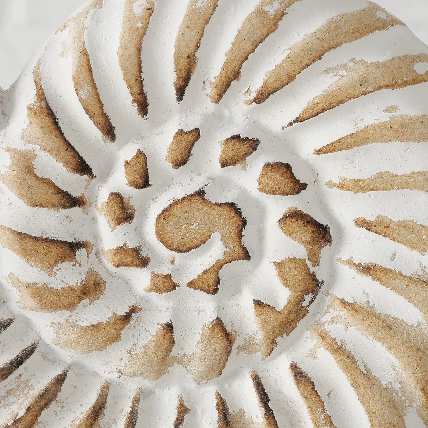 Hand Carved White and Natural Nautilus Shell Sculptures with MDF Wood Base