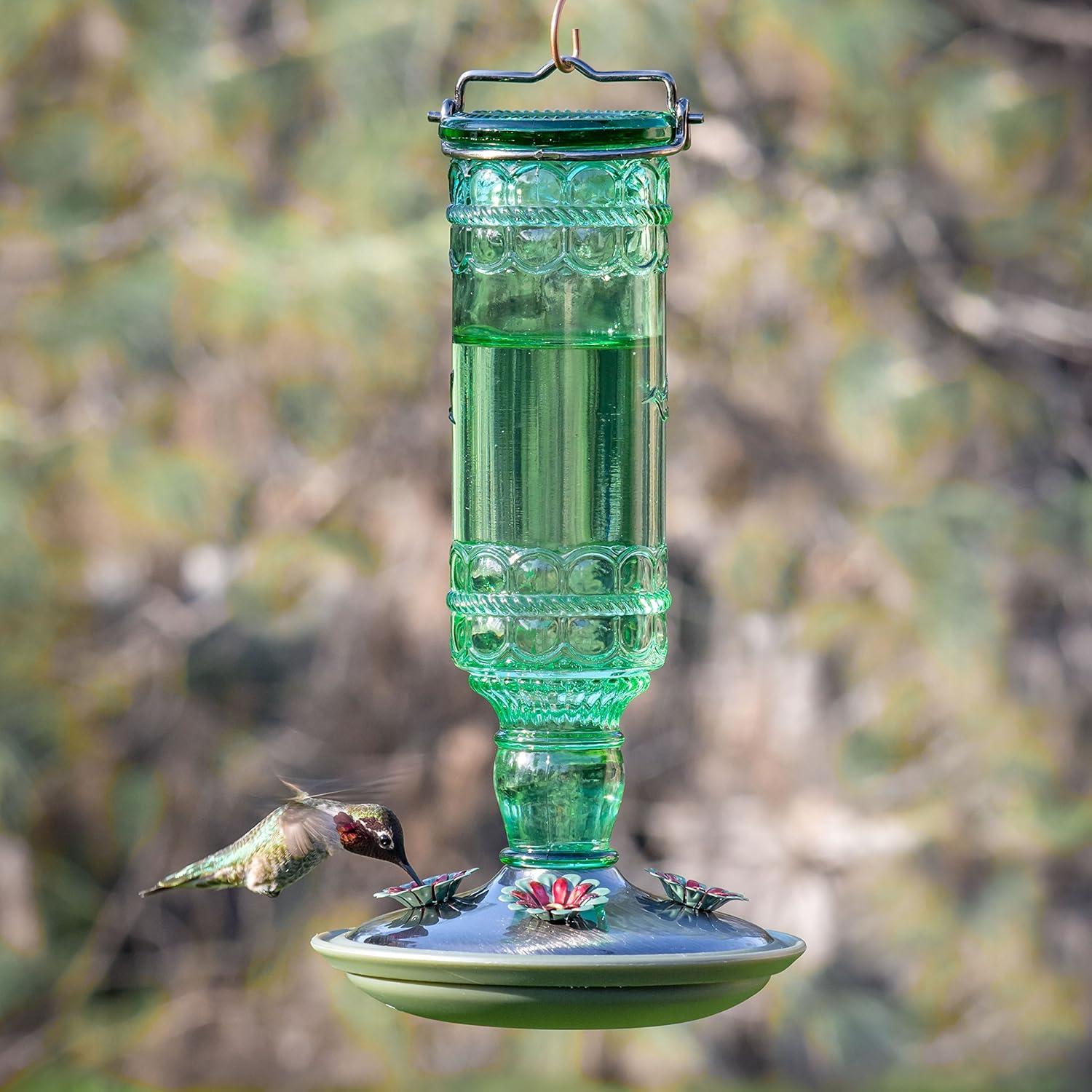 Woodstream Glass Hanging Soda Bottle Feeder