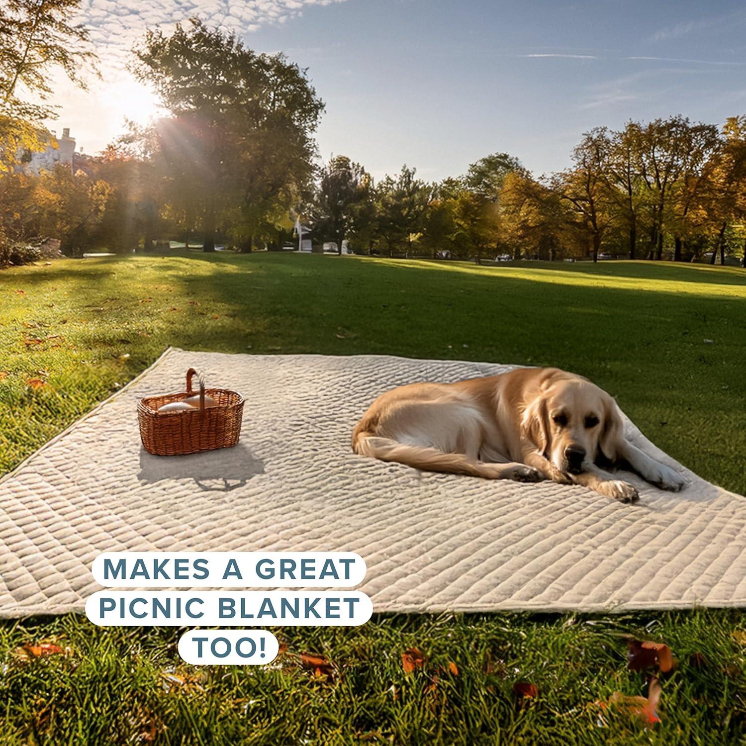 Bare Home Modern & Contemporary Coverlet Set