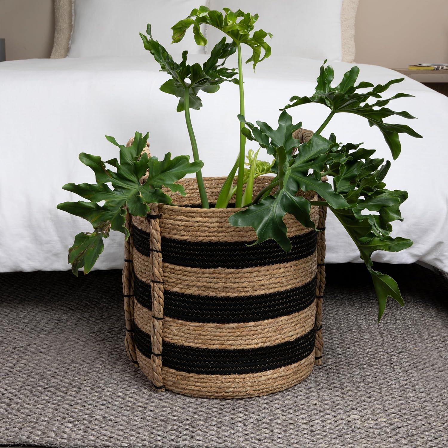 Household Essentials Braided Handle Basket Black/Natural: Large Round Seagrass Decorative Wicker Basket 20.1" Height