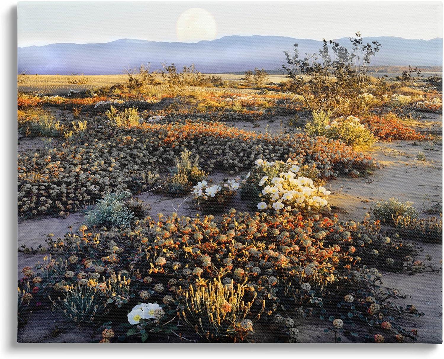 Mountain View Desert Vegetation Landscape Canvas Wall Art