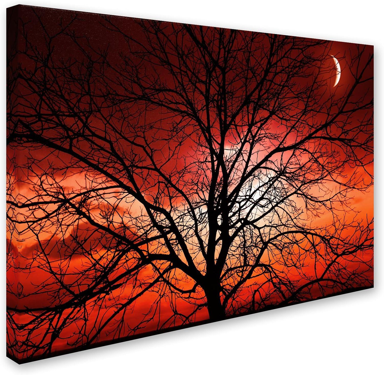 Trademark Fine Art "Big Bad Moon" Canvas Art by Philippe Sainte-Laudy