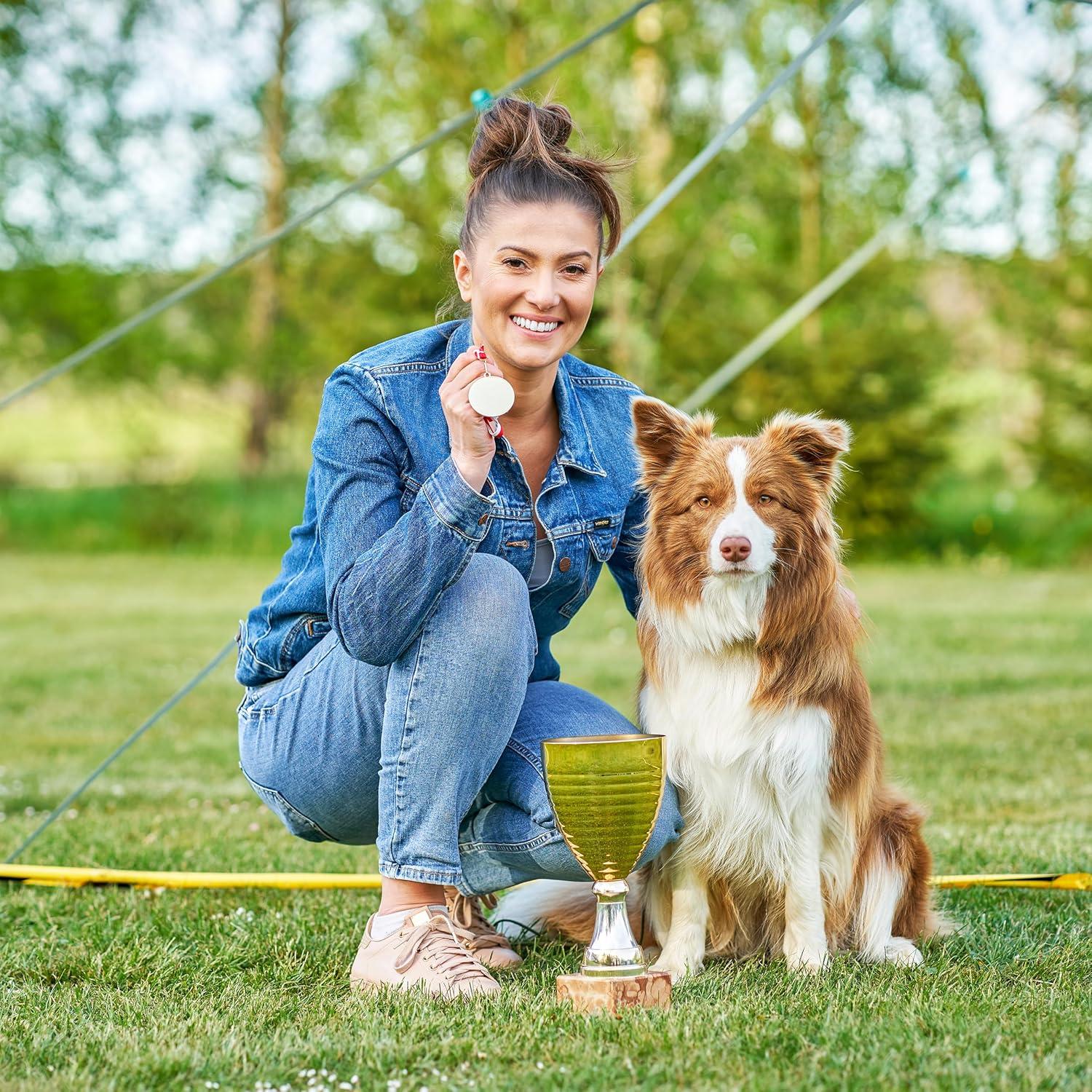 MiMu Dog Agility Equipment - Agility Set Dog Weaving Poles Dog Obstacle Course, Training Equipment, Competition Grade