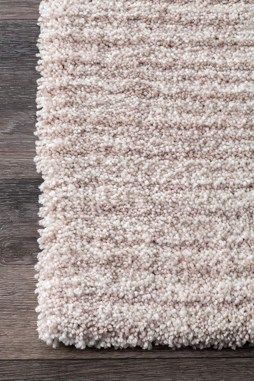 Nuloom Drey Ombre Shag Indoor Area Rug