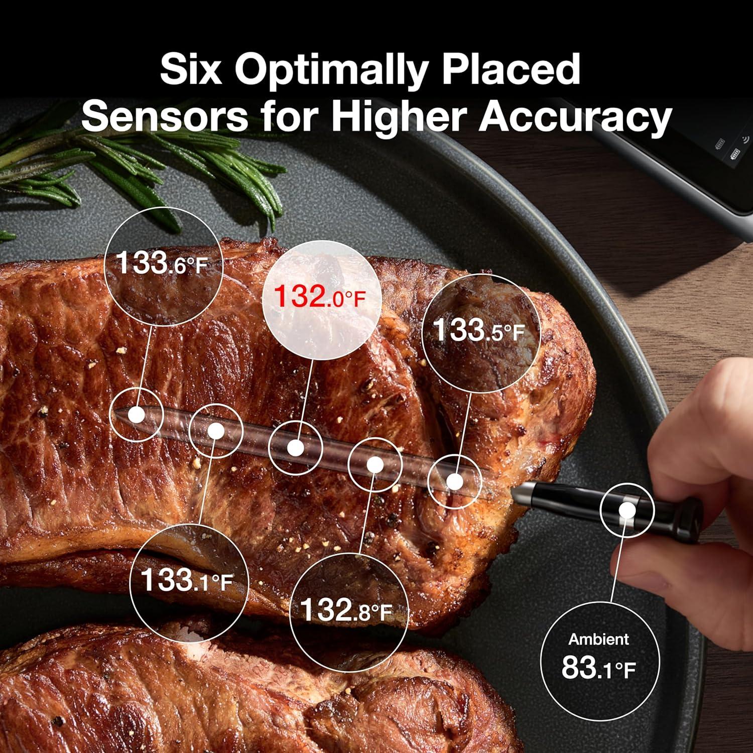 Stainless Steel Digital Wireless Meat Thermometer with Bluetooth