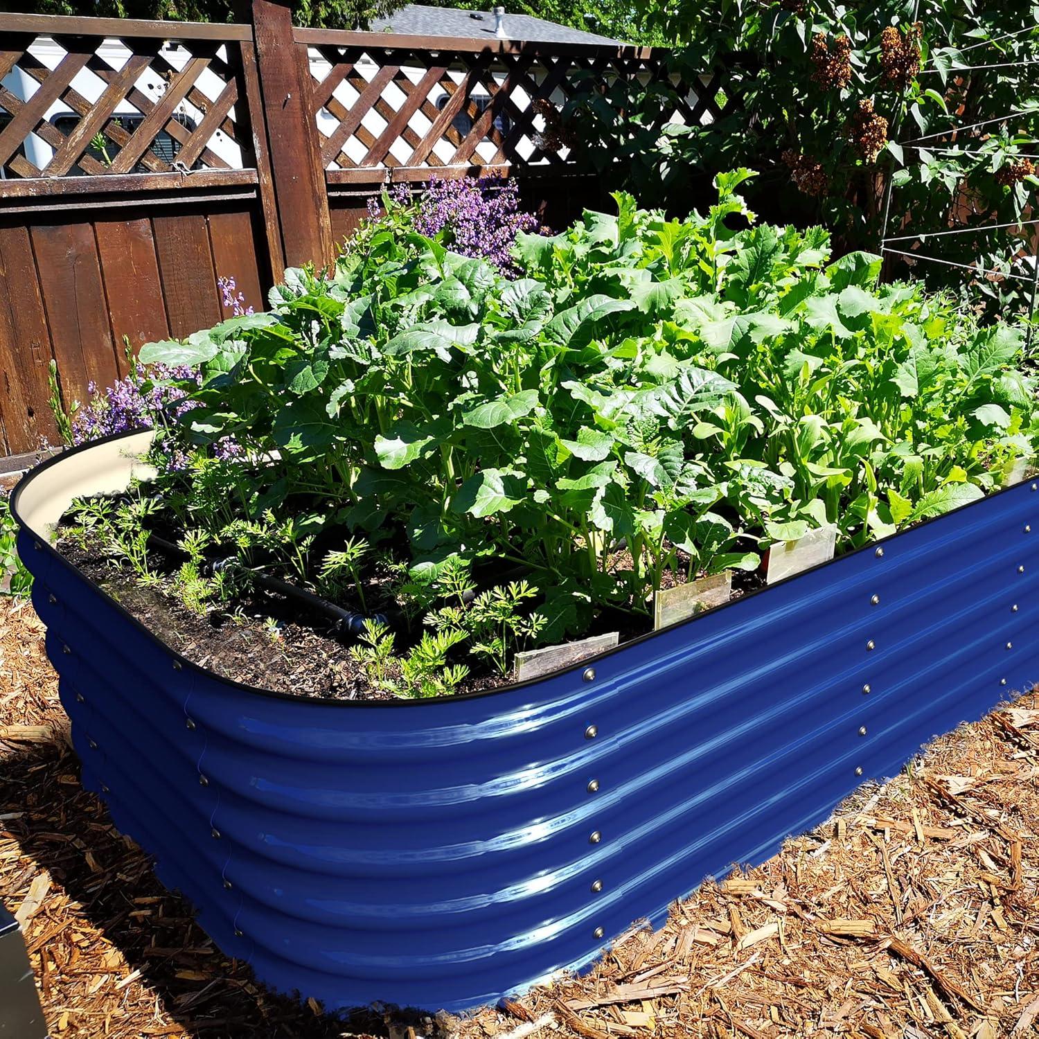 Cobalt Blue Oval Galvanized Steel Raised Garden Bed