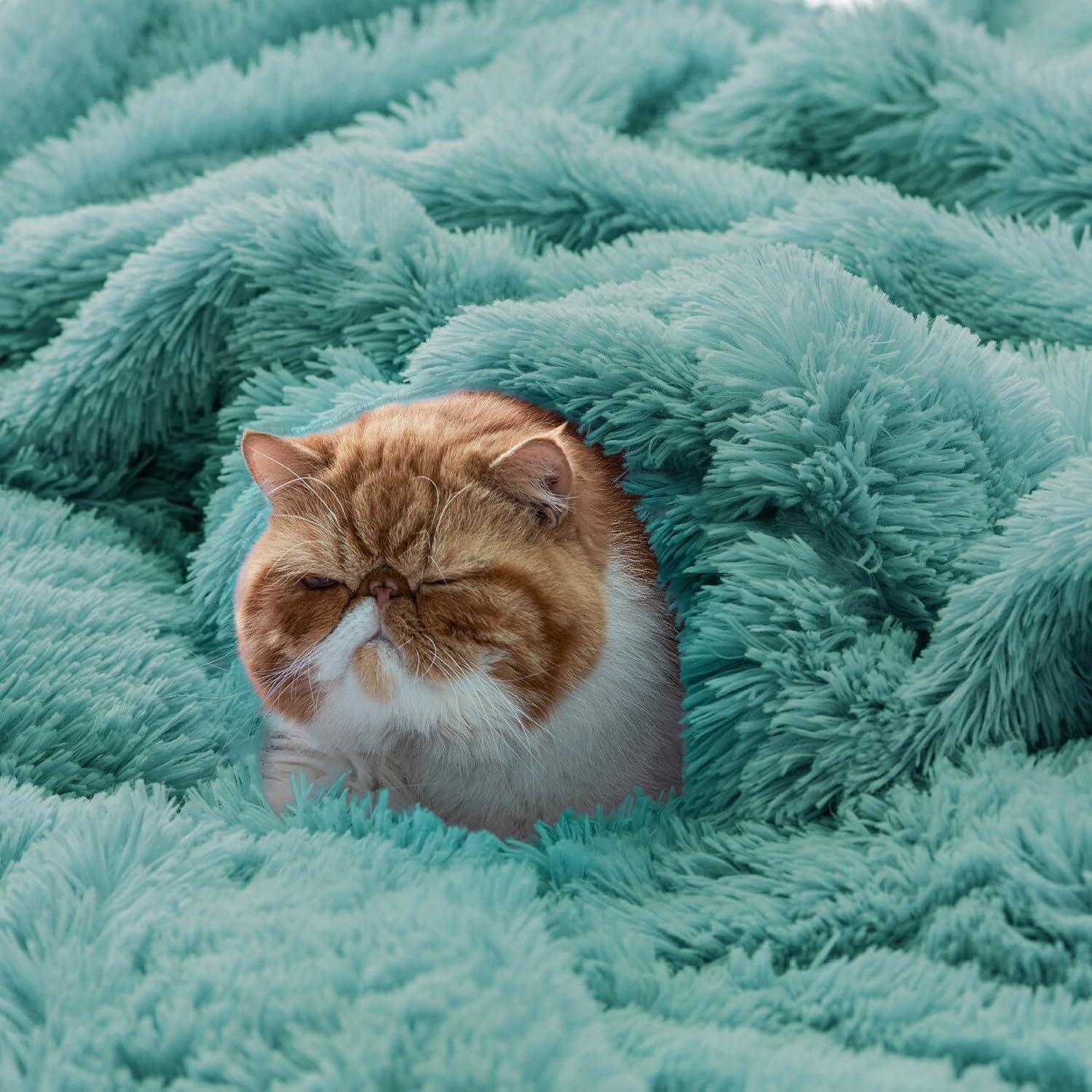 Bedsure Fluffy Green Blankets Queen Size for Bed, Thick Sherpa Faux Fur Fleece Fuzzy Plush Winter Warm Heavy Soft Full Queen Blankets, Bedroom Decor Green Gifts Cozy Gifts for Women Men, 90x90