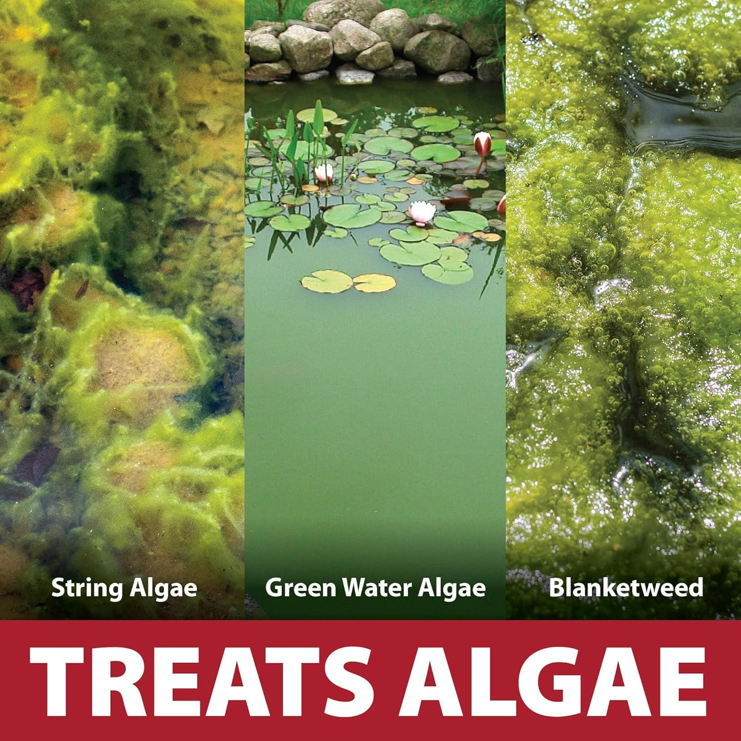 The Pond Guy InstaFix Algae Control, Outdoor Water Garden, Fountain & Birdbath Algae Solution, EPA Registered Liquid Algaecide, Control Green Water & String Algae, Bird, Fish & Pet Safe, 16 OZ