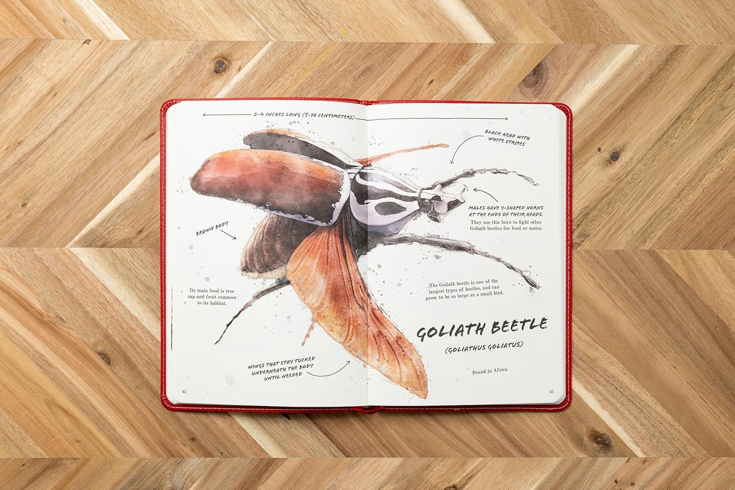 The Ultimate Bug Field Guide - (Ultimate Field Guides) by  Thomas Nelson (Leather Bound)