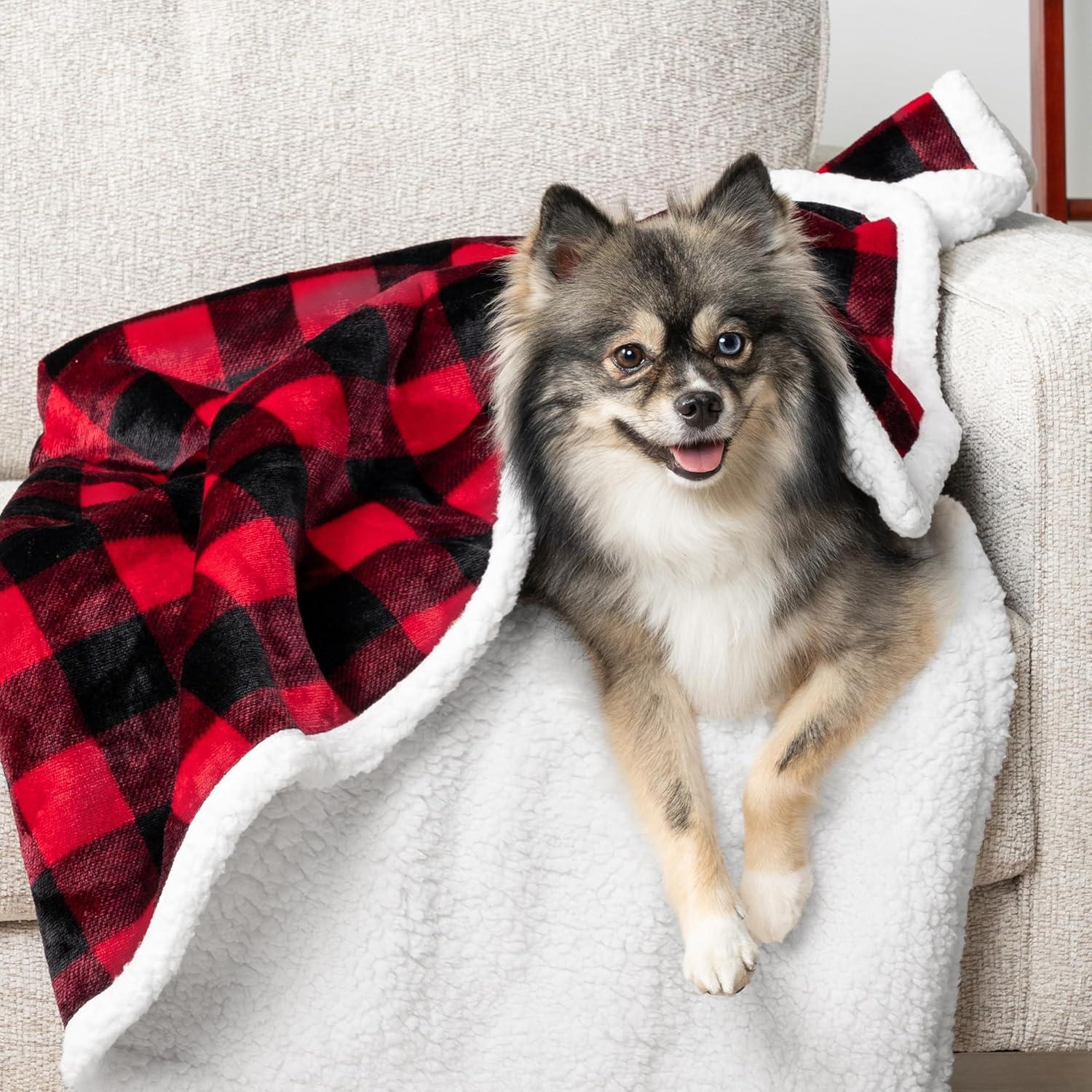 PetAmi Waterproof Dog Blanket For Small Medium Dog, Pet Puppy Blanket Couch Cover Protection, Sherpa Fleece Cat Blanket  Couch Sofa Bed Furniture Protector Reversible Soft Washable 29x40 Checker Red