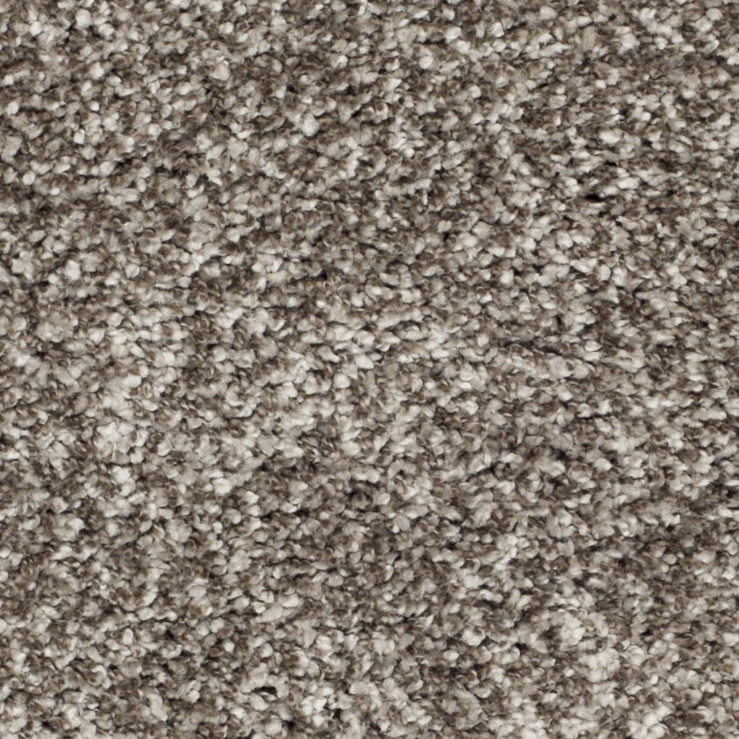 Shag SG180 Area Rug  - Safavieh