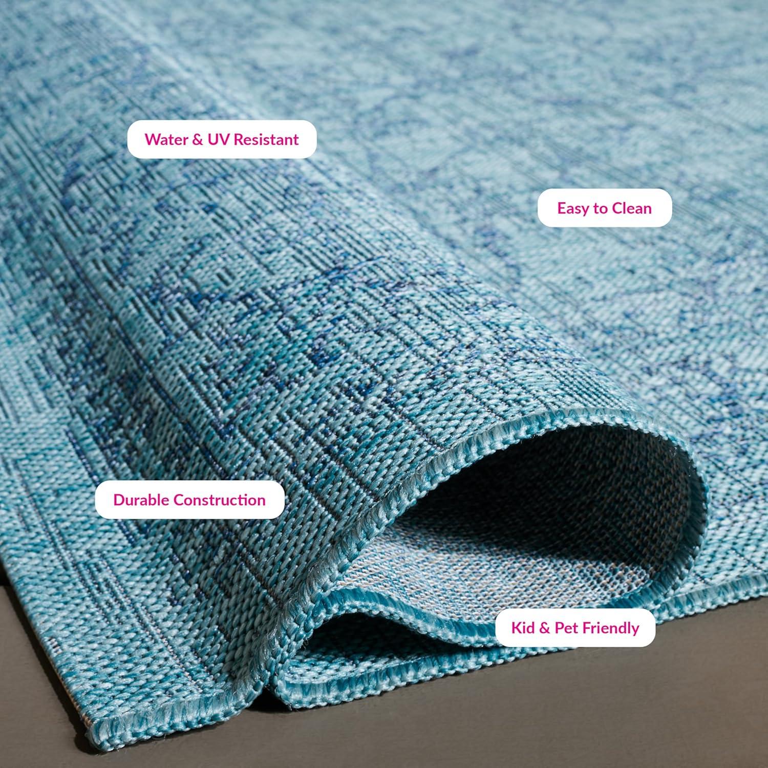 Courtyard Performance Oriental Rug