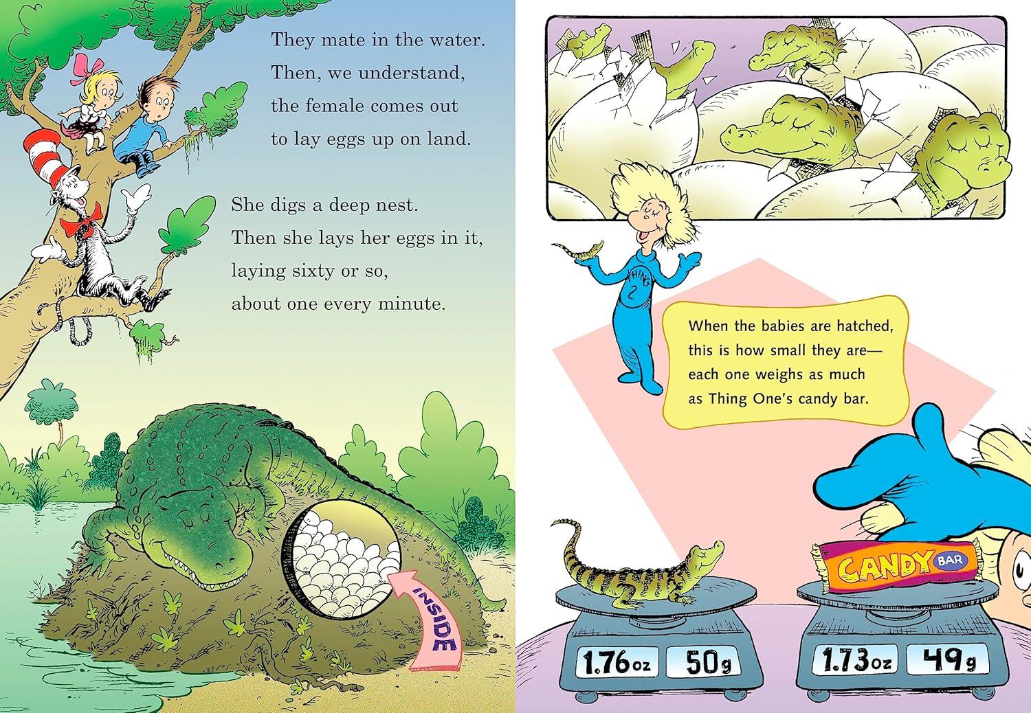 Miles and Miles of Reptiles: All about Reptiles - (Cat in the Hat's Learning Library) by  Tish Rabe (Hardcover)