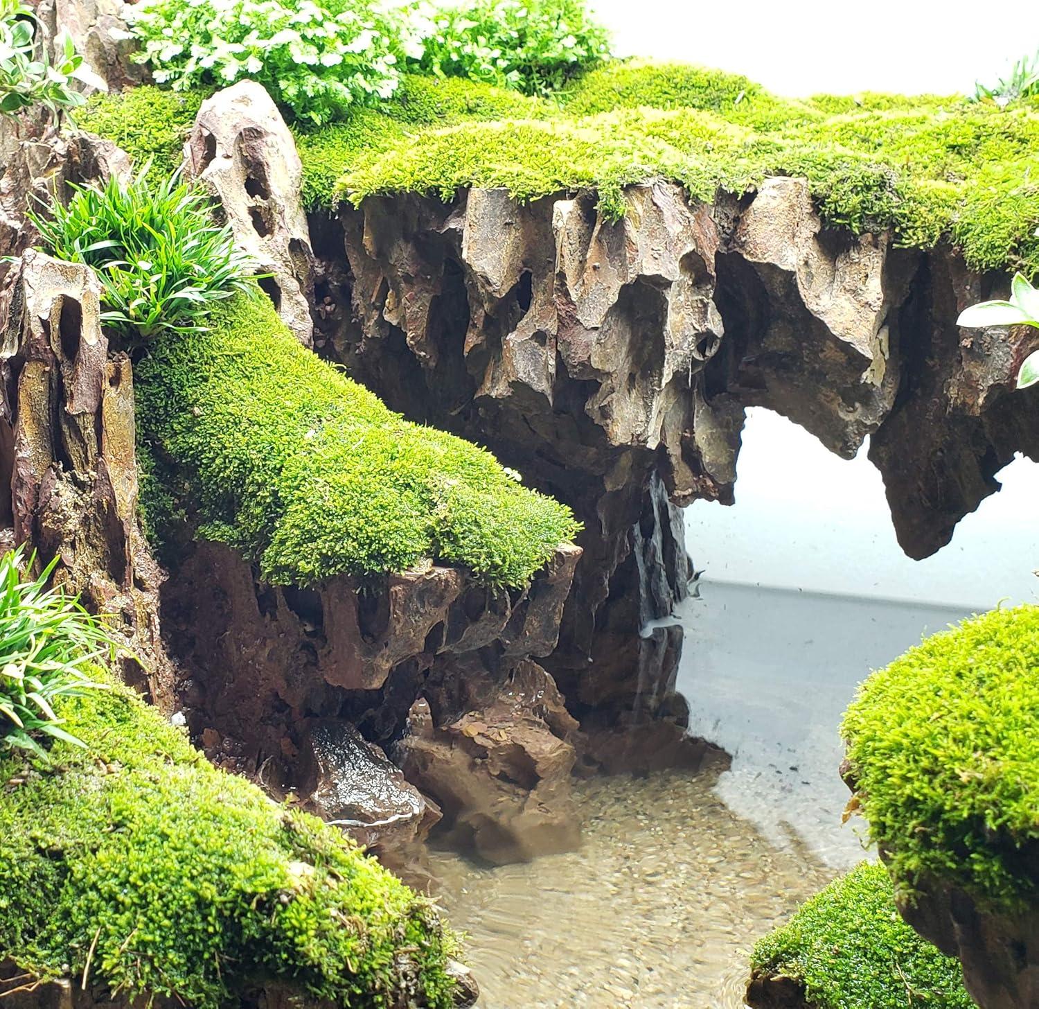 Dragon Ohko Rock - 10 Lbs Mix Size Kit of Medium and Small Rocks