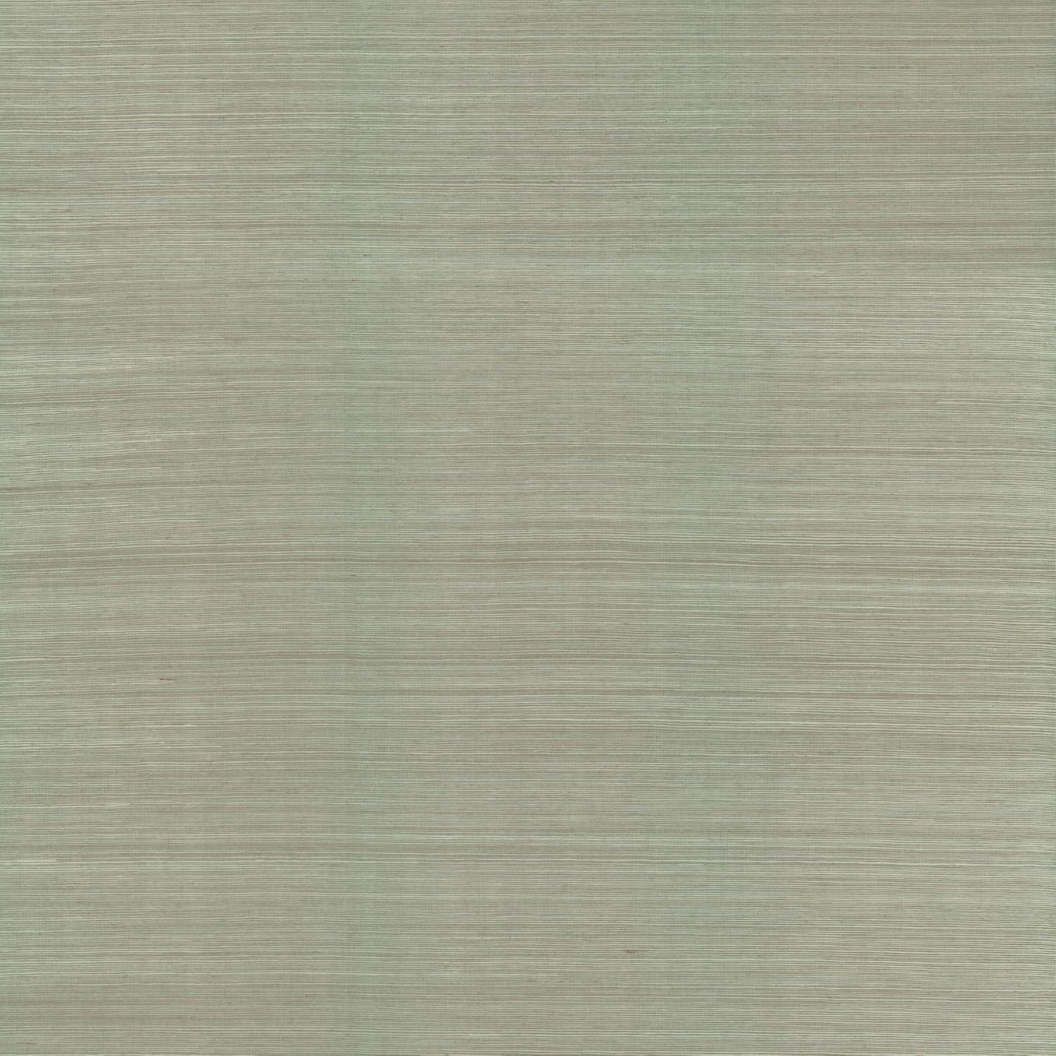 Birch Lane™ Weatherhill Natural Sisal Peel and Stick Grasscloth Wallpaper