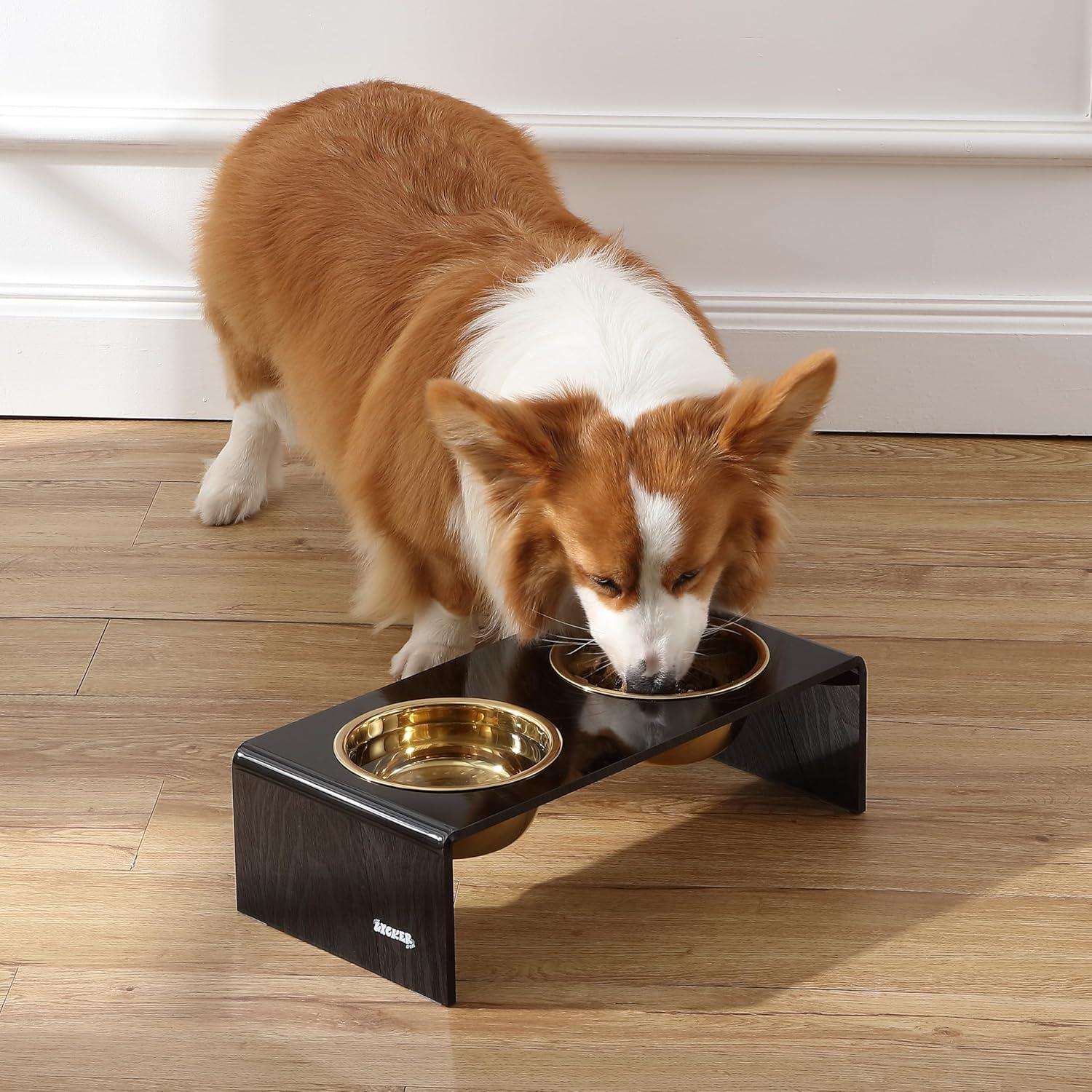 THE LICKER STORE Keaton Modern Lucite Rectangular Elevated Pet Feeder with 2-Stainless Steel Bowls