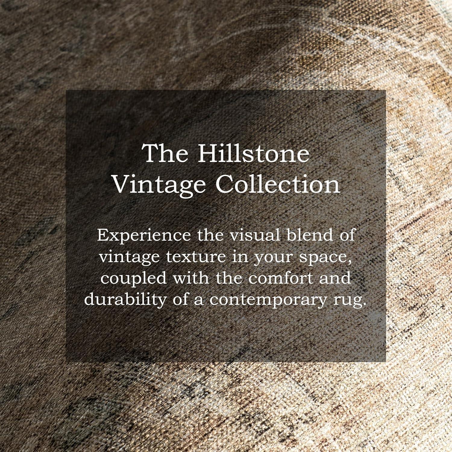 Nuloom Hillstone Collection Ahmeira Traditional Vintage Medallion Area Rug, 10' x 13', Beige