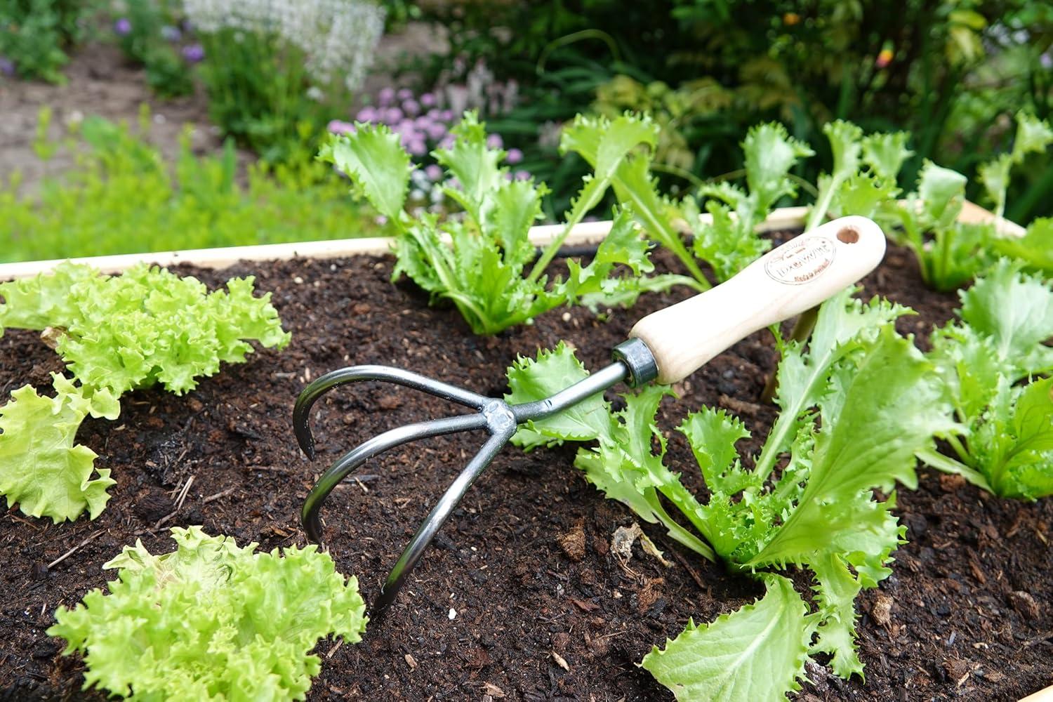 Gardener's Supply Company Lifetime Garden Cultivator | Heavy Duty Forged Steel with Ergonomic Hardwood Handle | Gardening Hand Tool for Weeding and