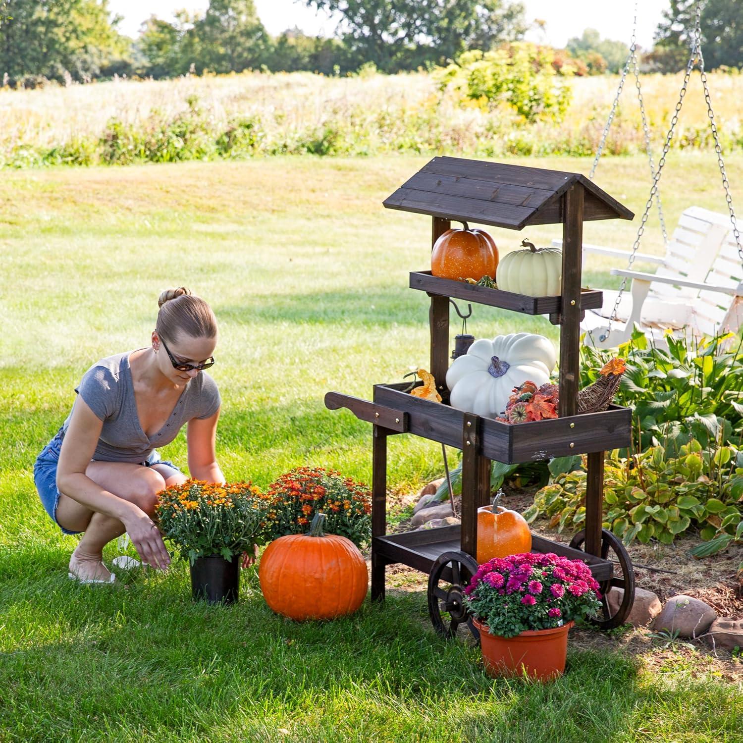 Sunnydaze Country Market Flower Cart Display Stand - 49.25” H - Charred Fir