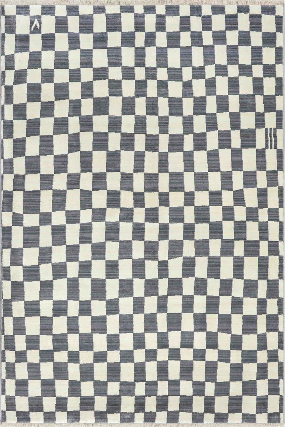 Dominique Gray 4' x 6' Abstract Checkered Synthetic Area Rug