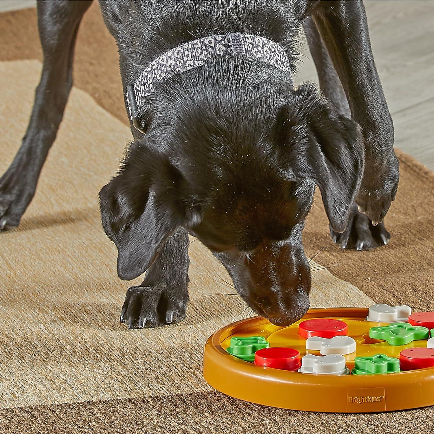 Brightkins Pizza Party! Treat Puzzle, 1 Piece, Interactive Dog Toys, Dog Puzzle Stimulating, Dog Toys, Brain Games for Dogs