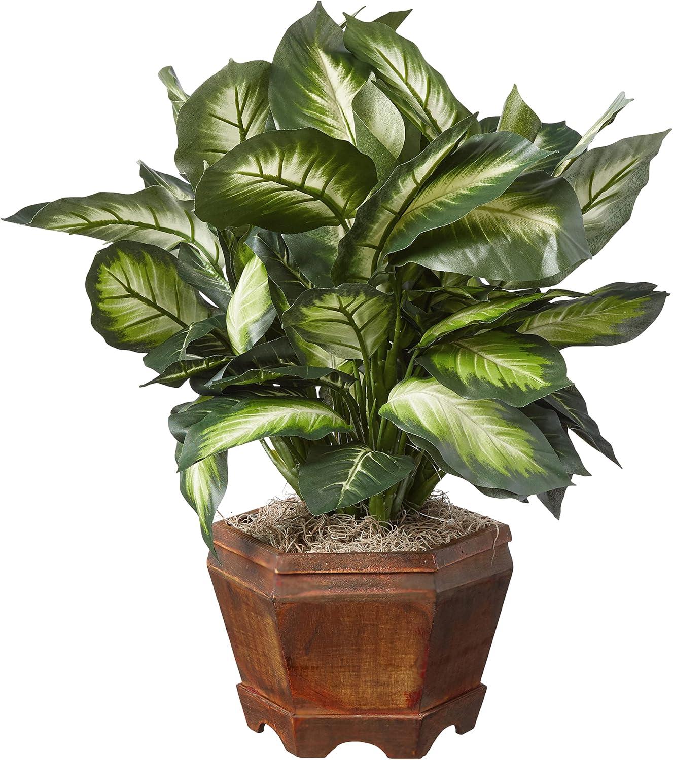 22" Artificial Triple Golden Dieffenbachia with Wood Vase - Nearly Natural