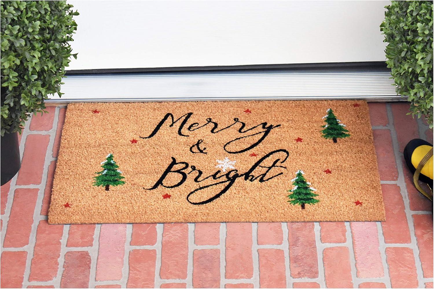 Modern Coir Winter Welcome Outdoor Doormat 29" x 17"