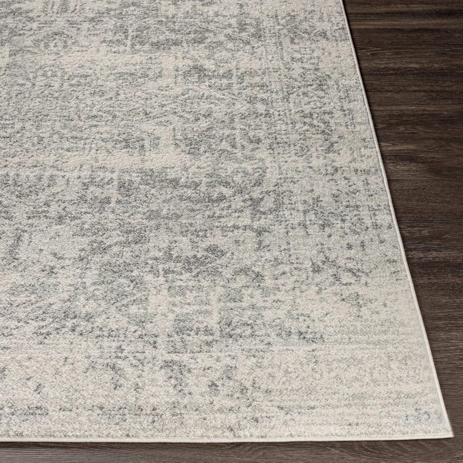 Prisha Rug - Stone / 2'7" x 10'3"
