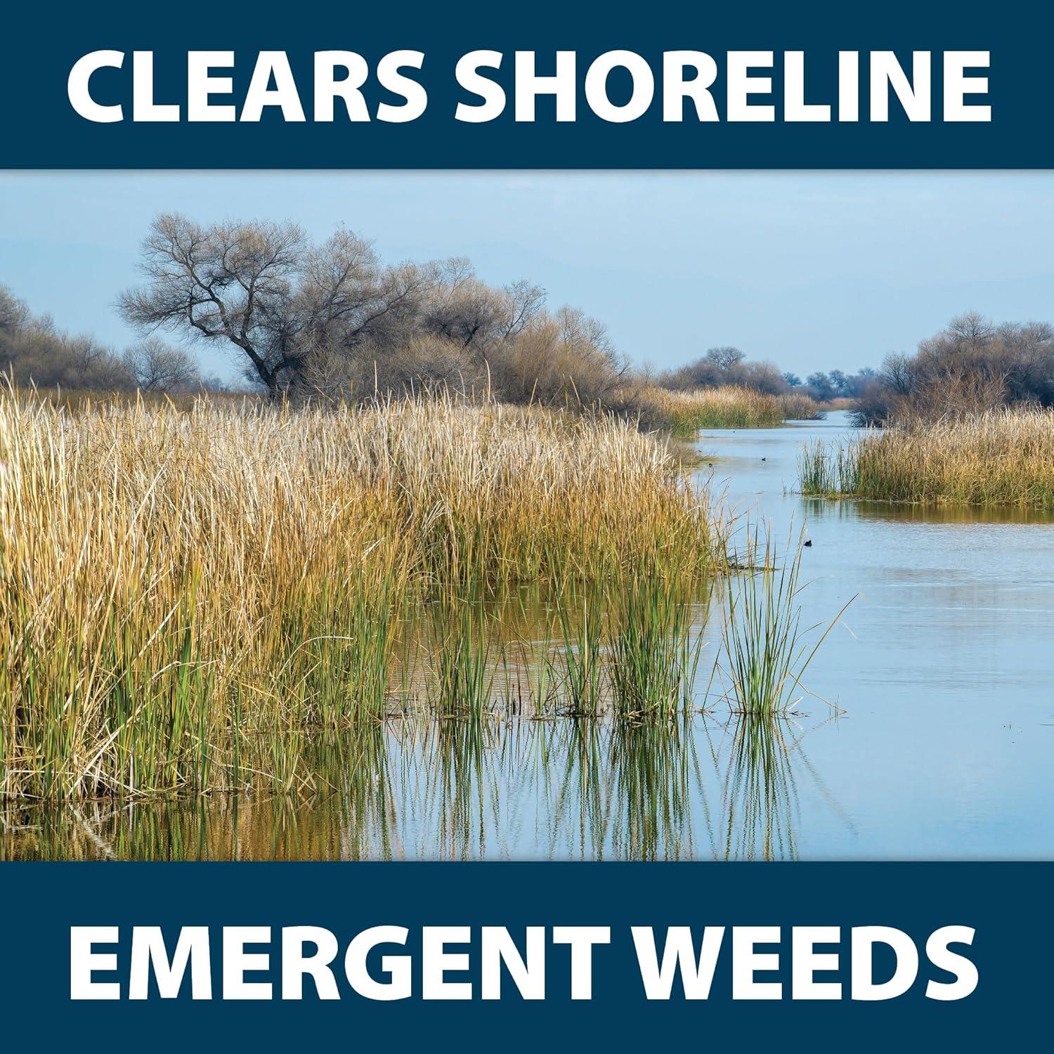 Airmax Shoreline Defense Emergent Weed Control Concentrated Treatment, Aquatic Herbicide (Glyphosate) for Phragmites, Pond Grass & Cattails, 1 Gallon