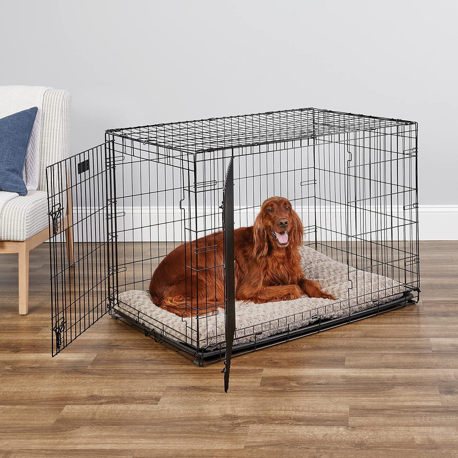 MidWest Homes for Pets Double Door iCrate