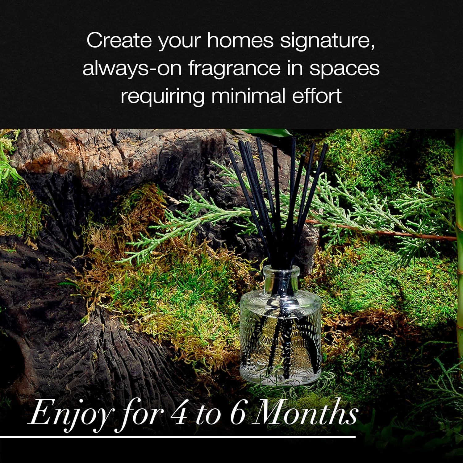 Moso Bamboo Reed Diffuser with Embossed Glass Bottle