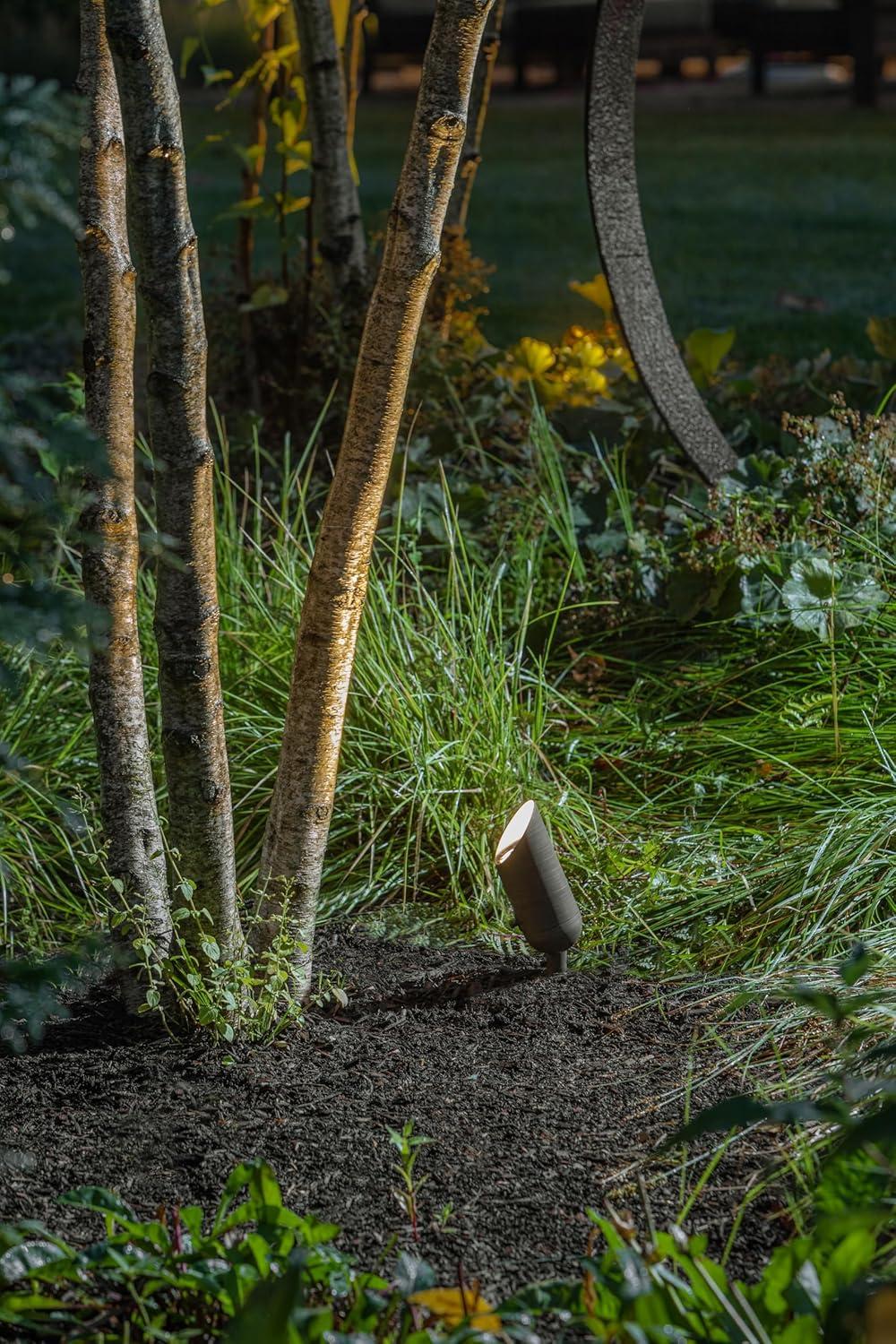Bronze Low Voltage LED Outdoor Spot Light with Clear Lens