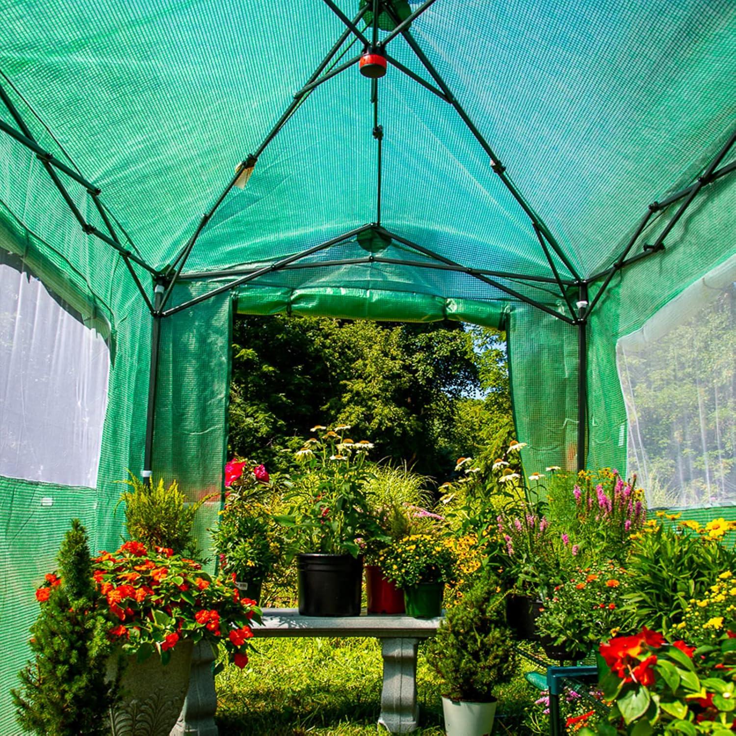 EAGLE PEAK Pop Up Greenhouses 8' X 6' Portable Instant Walk-In Garden Greenhouse & Reviews | Wayfair