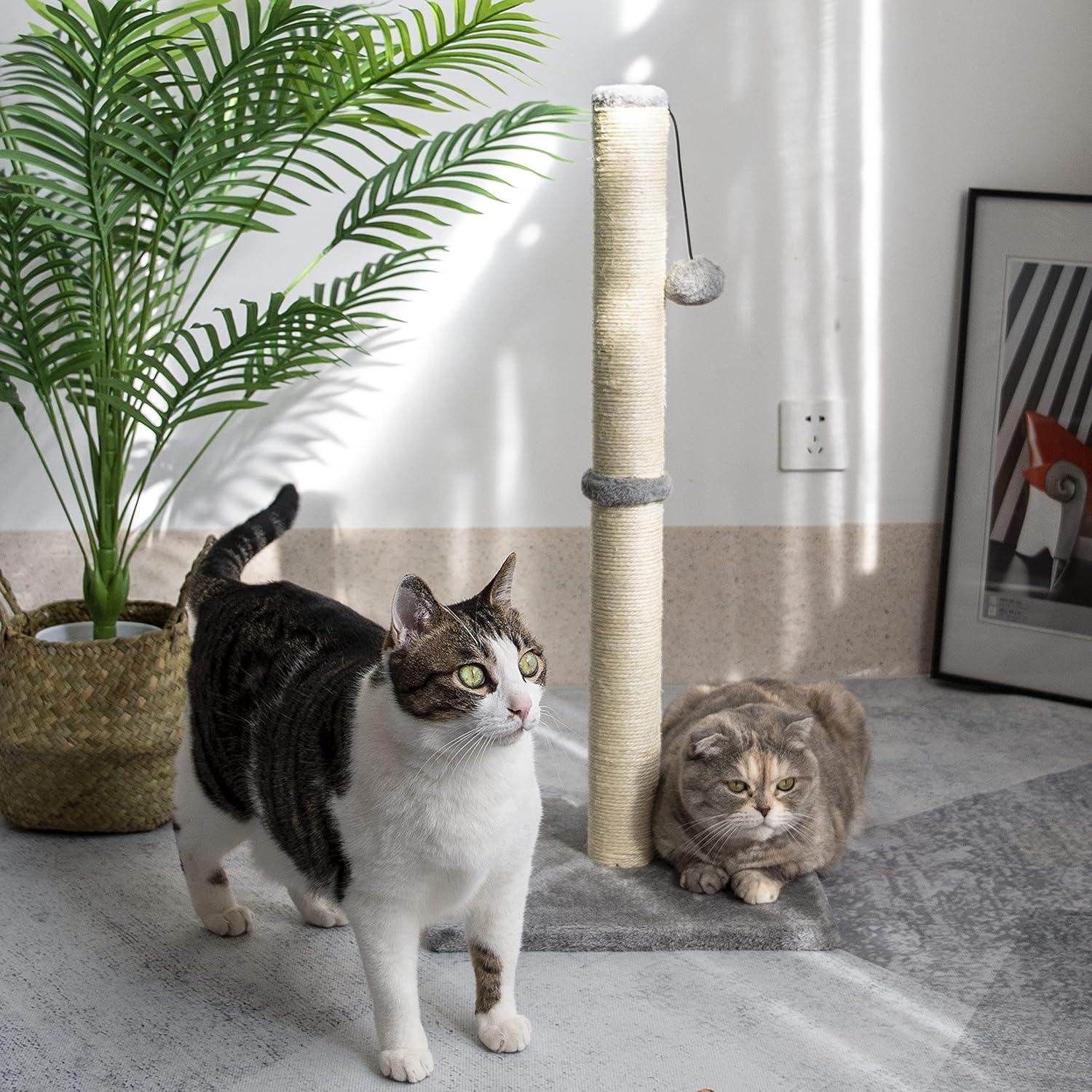 Tucker Murphy Pet™ 29" Tall Cat Scratching Post, Scratch Posts With Sisal Rope And Hanging Interactive Toy Ball For Indoor Cats And Kittens