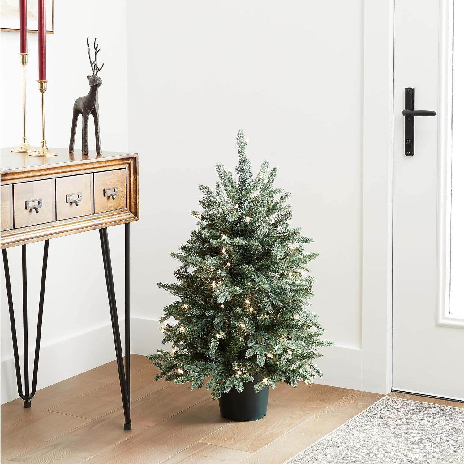 The Holiday Aisle® 3ft. Everyday Collection Potted Evergreen Tree with Clear Lights