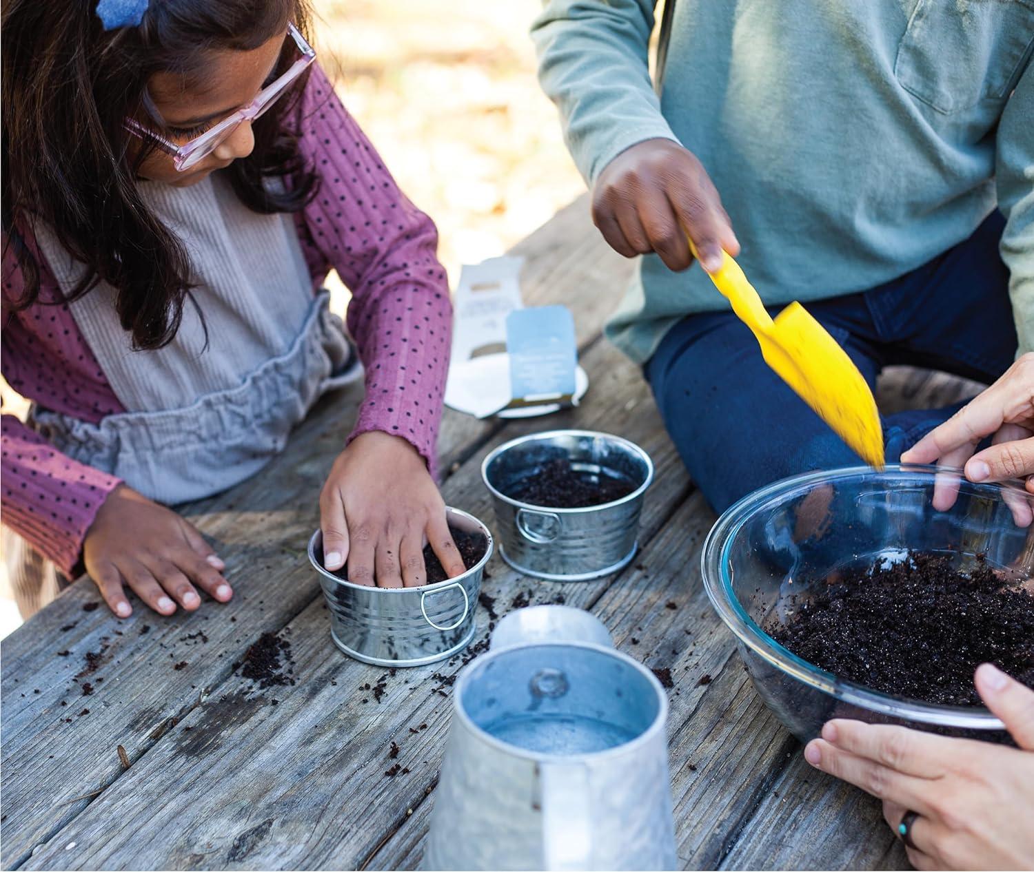 Vintage-Inspired Metal Mini Basin Strawberry Grow Kit