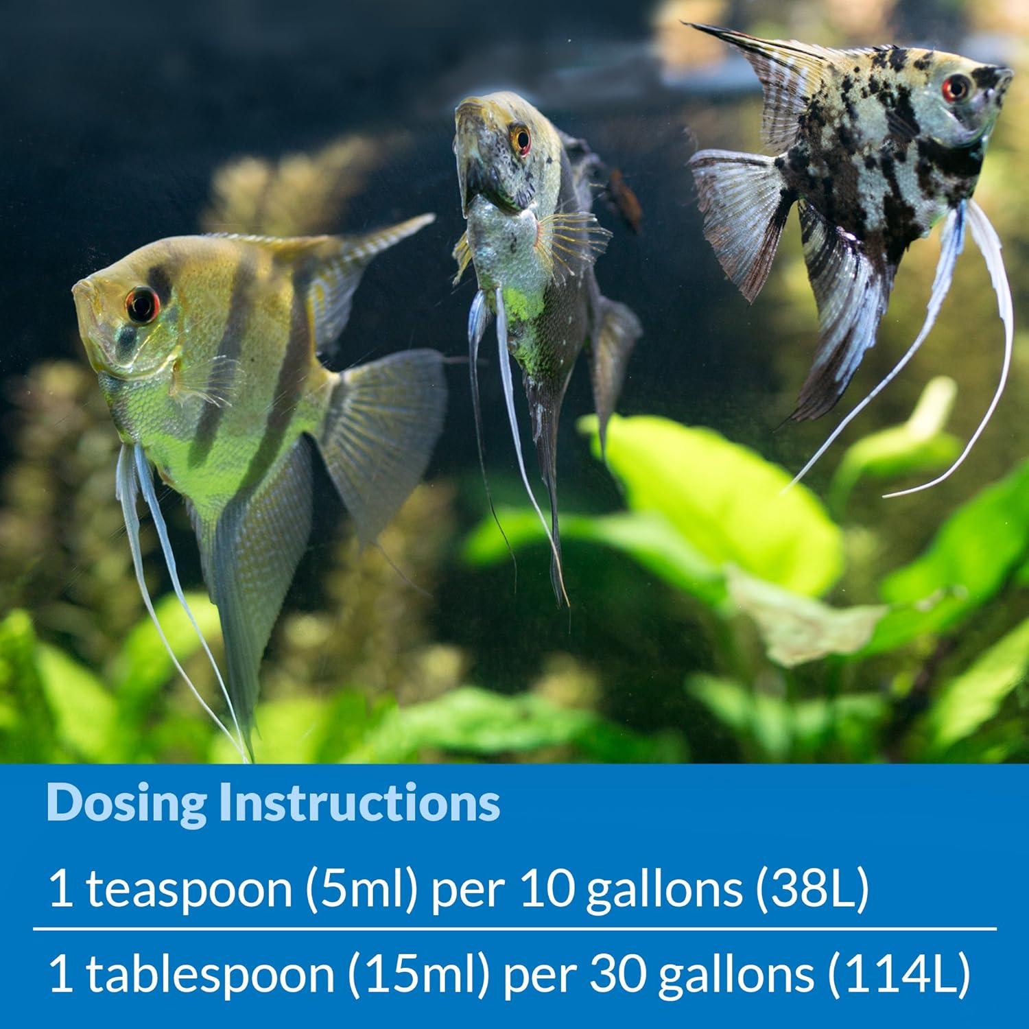 API Stress Coat, Aquarium Water Conditioner, 4 oz