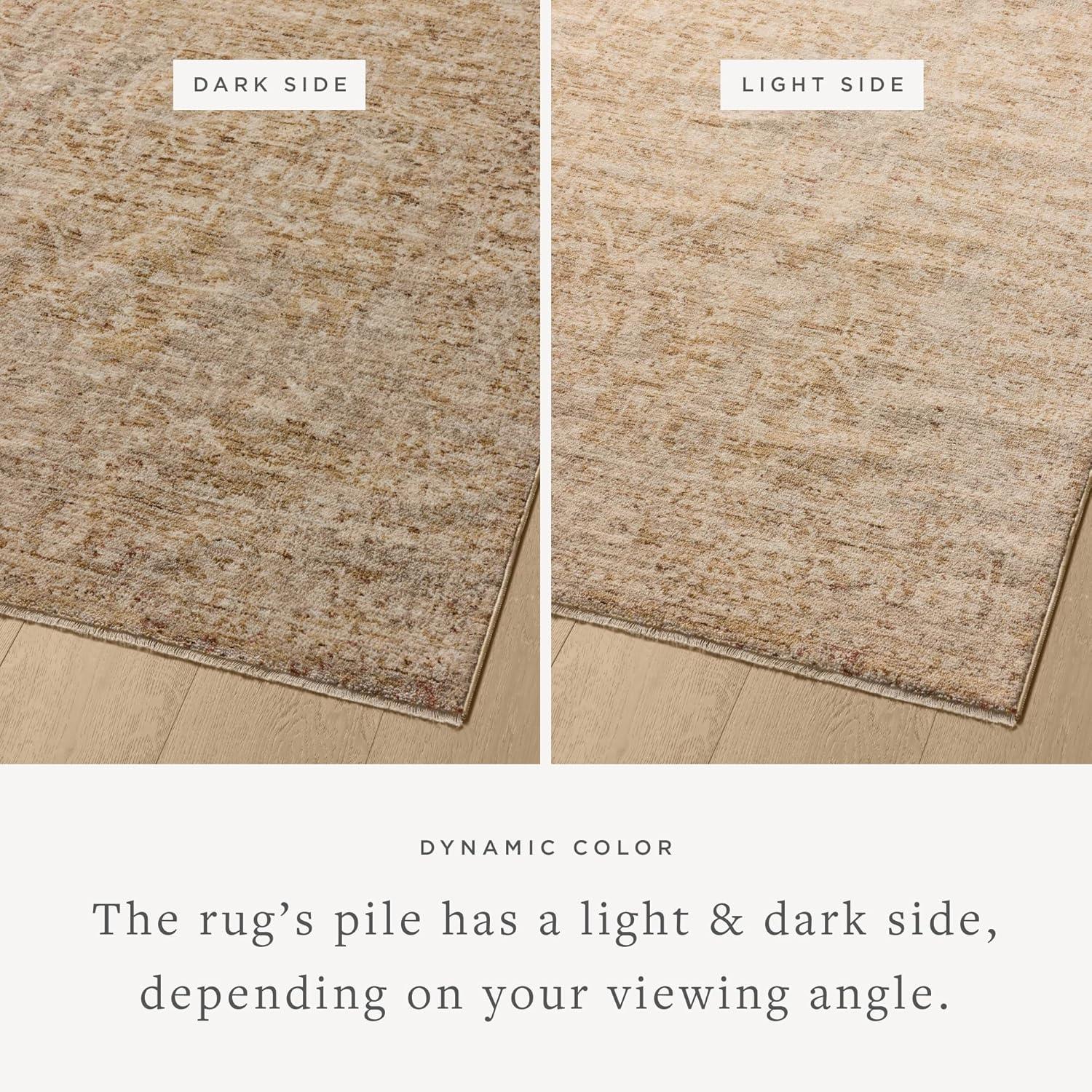 Loloi Rugs Newman Wheat / Natural Area Rug