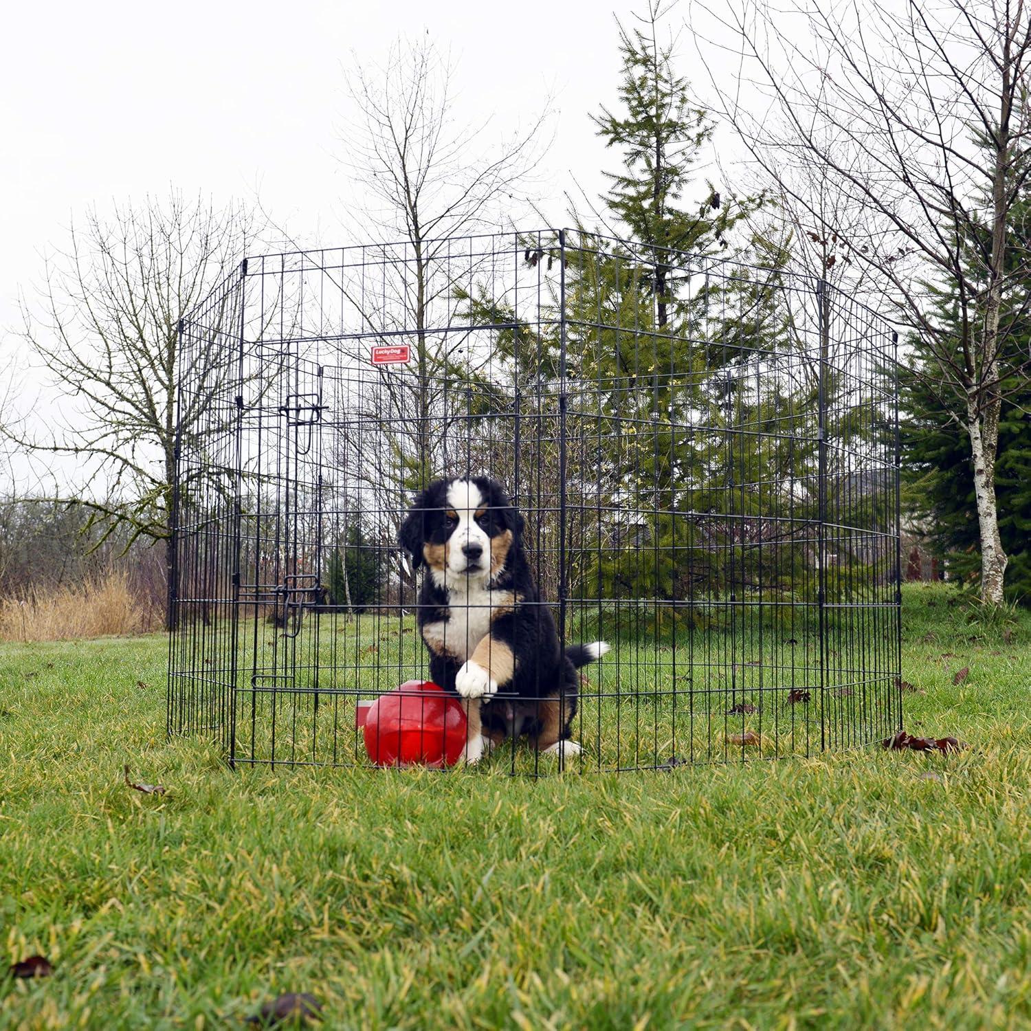 Foldable Metal Exercise Pet Play Pen for Dogs, Chickens, Rabbits and more